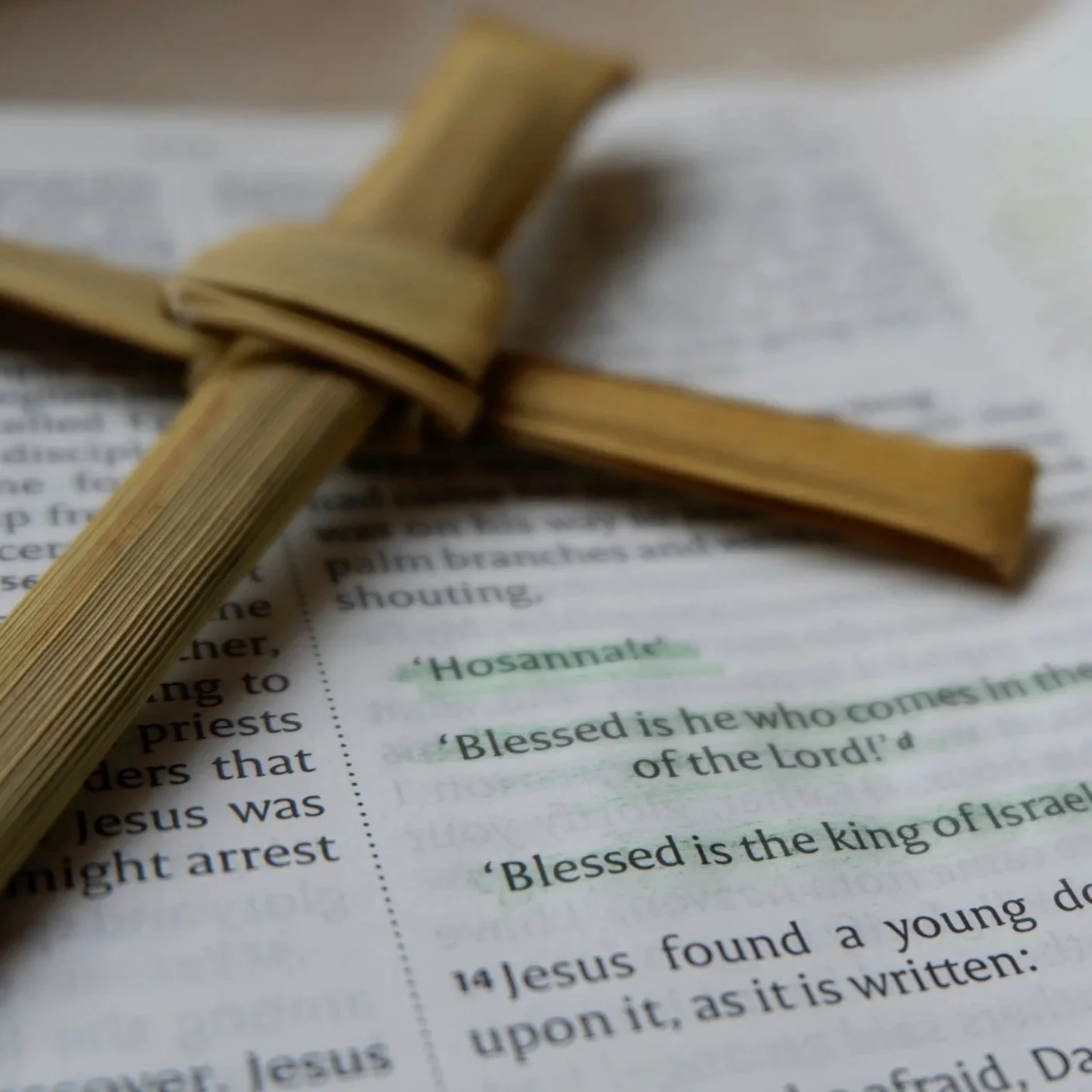 folded palm cross on a Bible - photo credit Hannah Flemming, Unsplash
