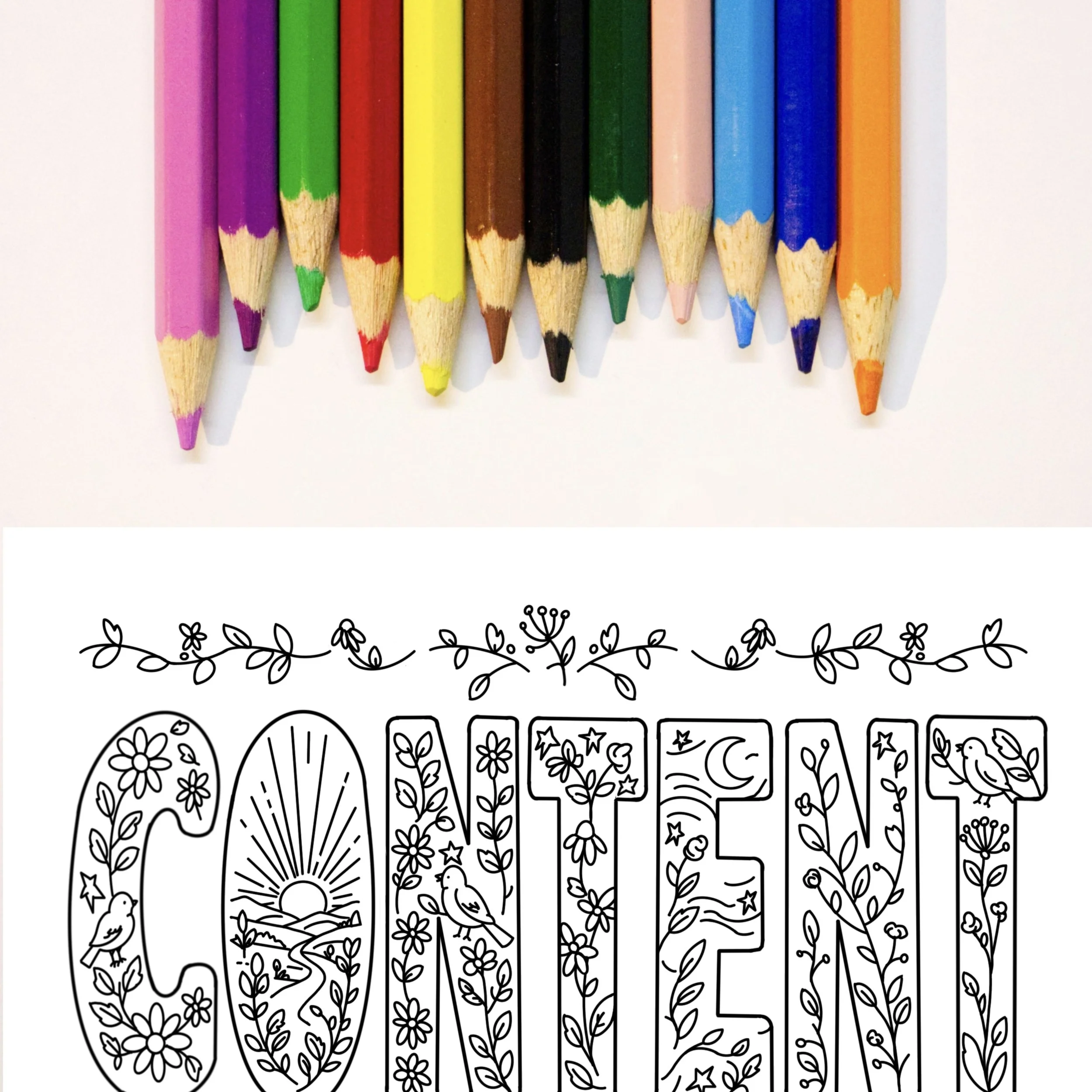 content - coloring page - carrot top studio shown with colored pencils