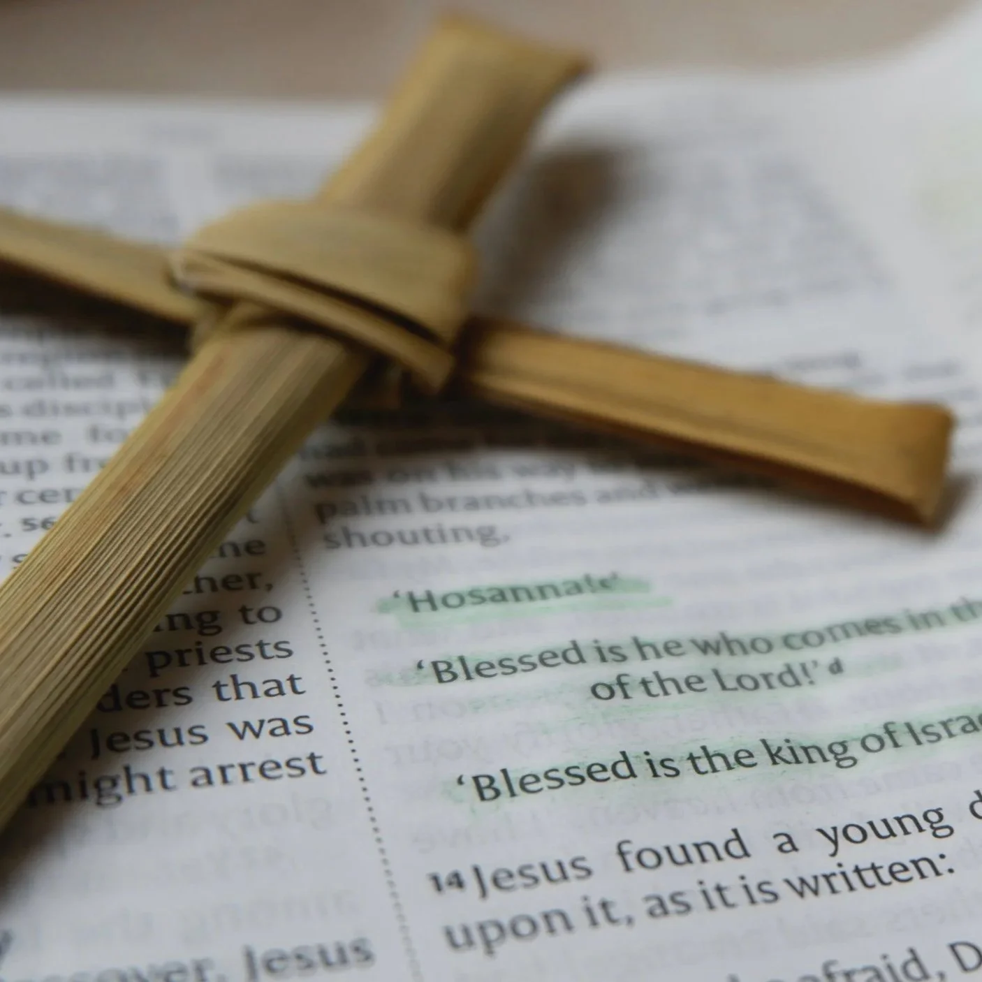 Palm Cross Folding Guide | Lent Activity