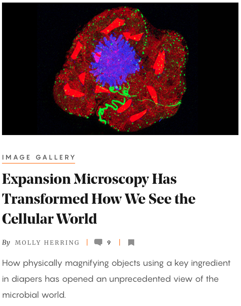 Dey lab in the Quanta Magazine