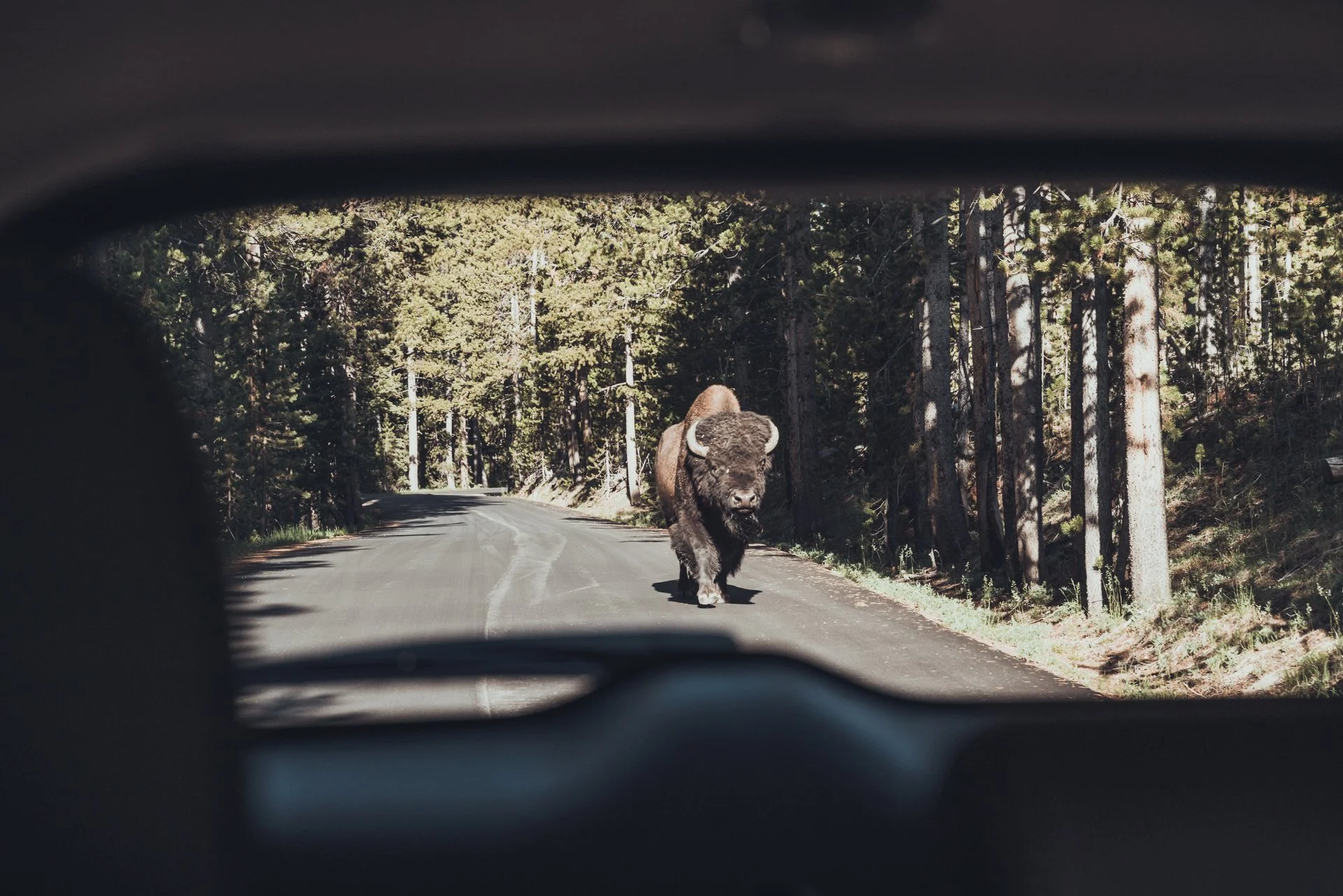 Montana