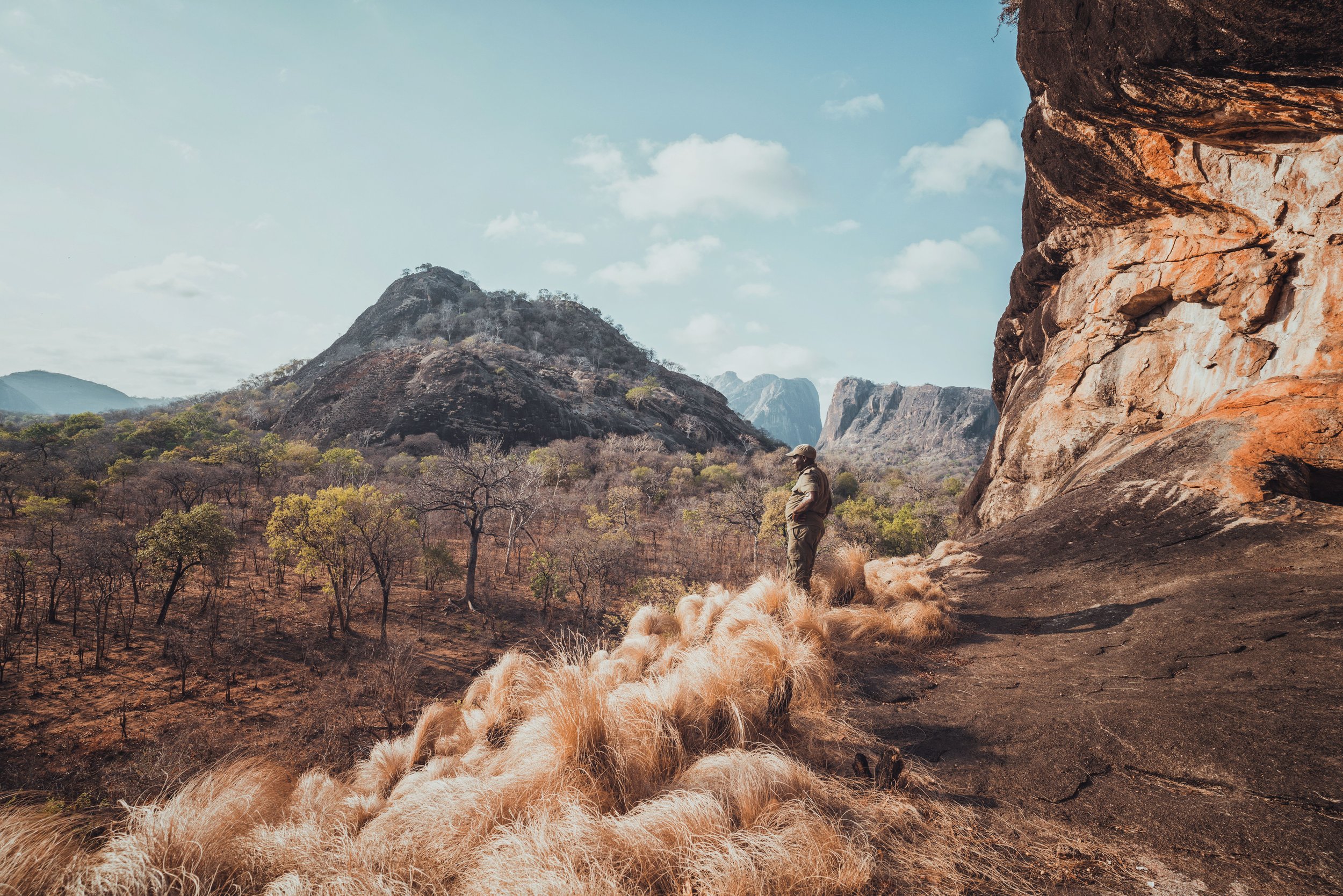 Mozambique - The Wild