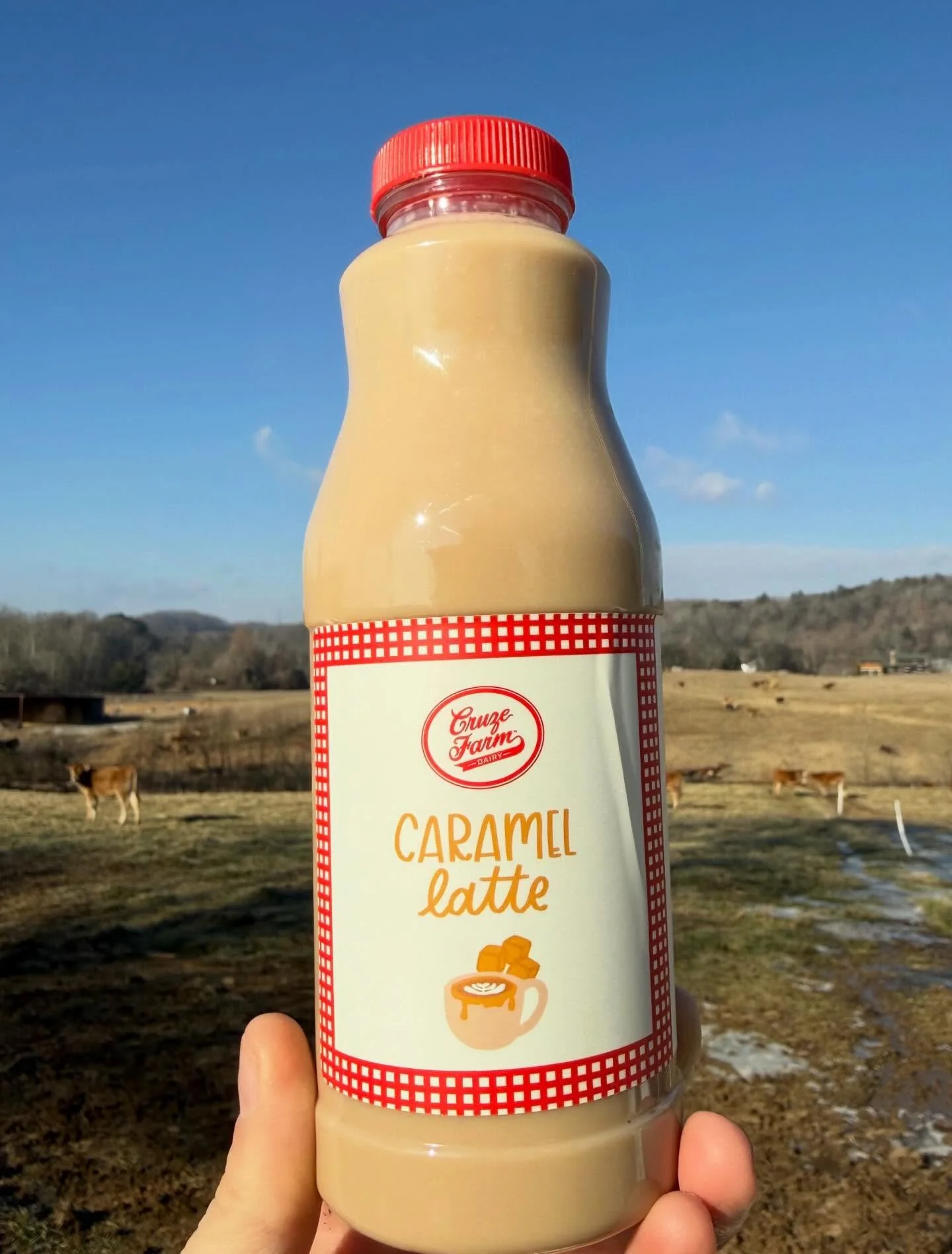 NEW MILK! 🥛🤎

Today we delivered the first batch of Caramel Latte Milk! ☕🥛
@knoxvillebrew roasted a special batch of coffee beans just for us, which we steeped in our whole milk and blended with Laura&rsquo;s homemade caramel! 🤎

We&rsquo;re lovi