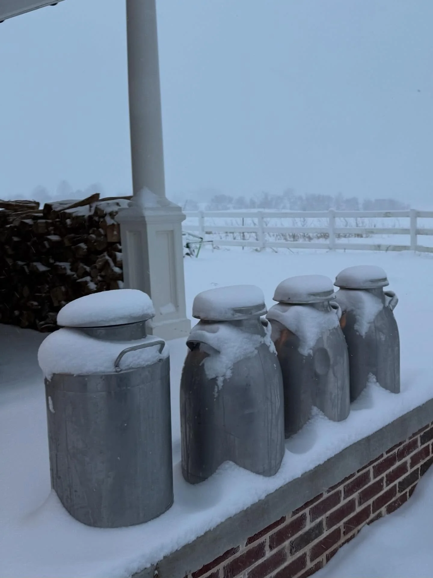 All the shops are closed today! 🥛❄️ 
A huge thanks to our farm team who shows up in all weather- Earl, Camden &amp; Francisco! Thanks to Terry for being our taxi service! ❤️🐮