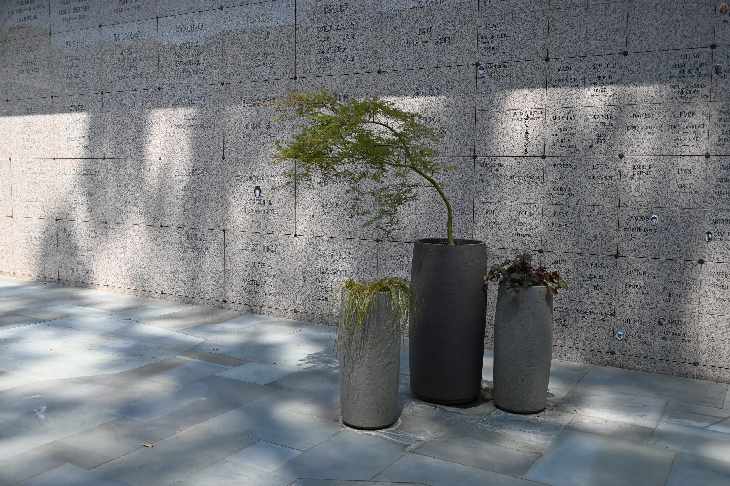 The play of colors between plants and clay planters against the granite backdrop.