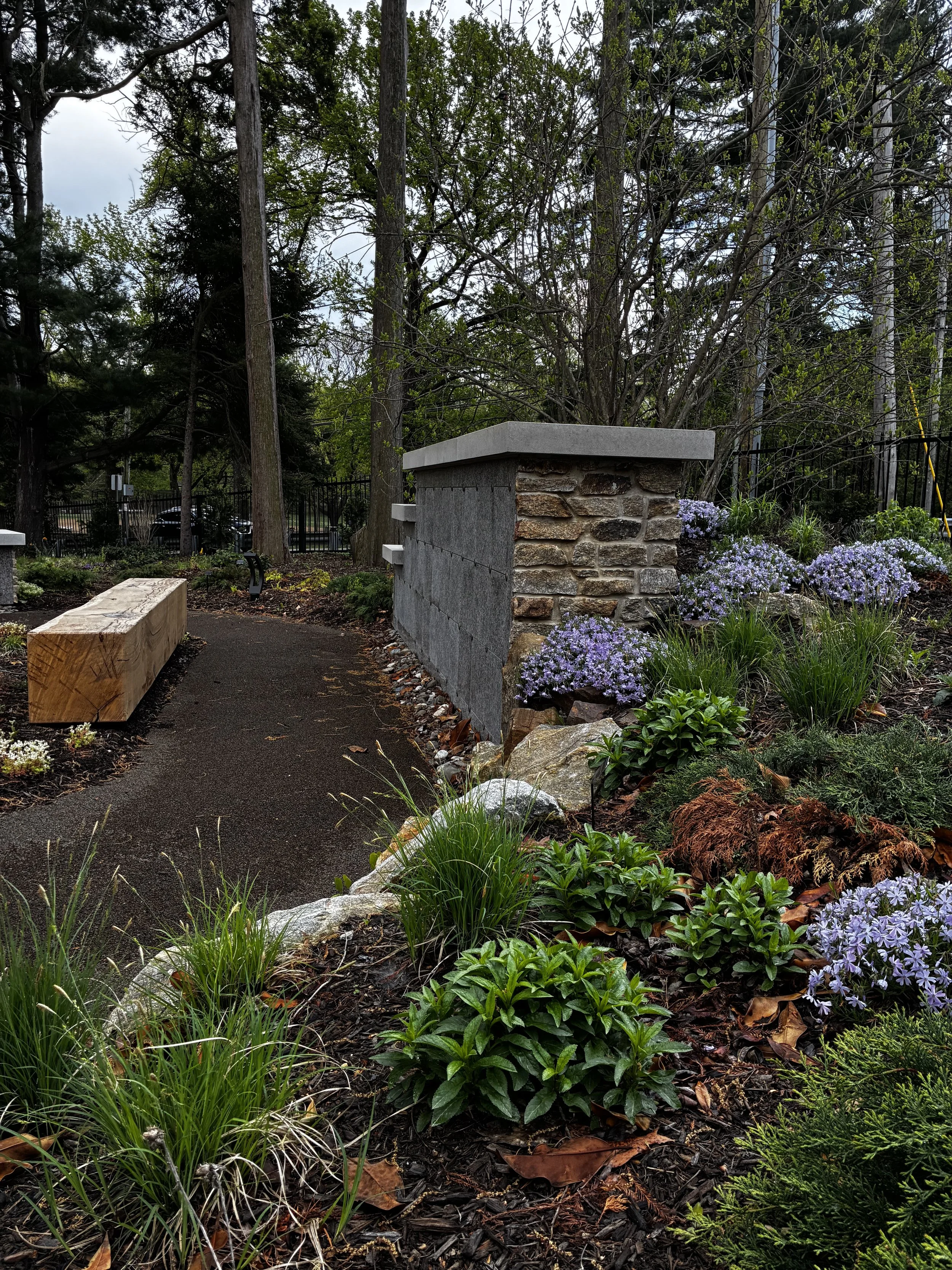 A landscaped garden with a stone and concrete wall, purple flowers, various green plants, trees, and a paved pathway.