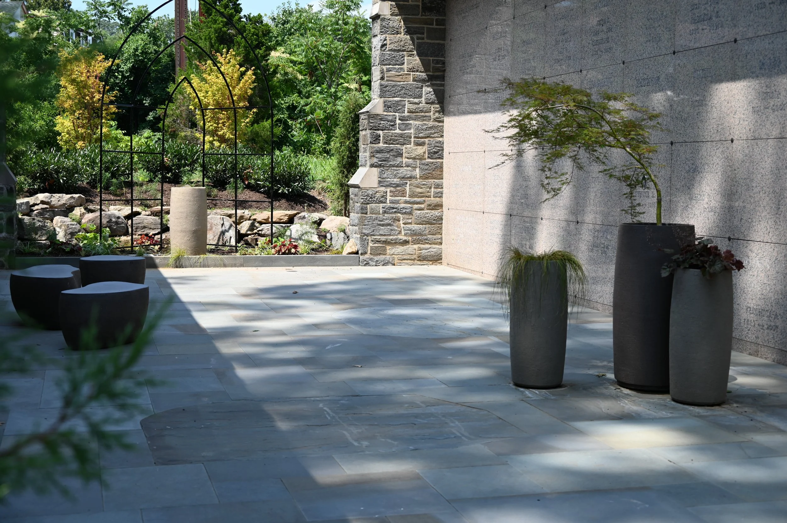Planter with Japanese maple