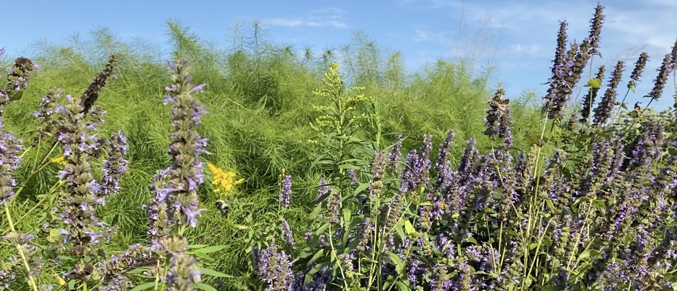 Screenshot 2026-01-29 at 6.27.54 PM.png