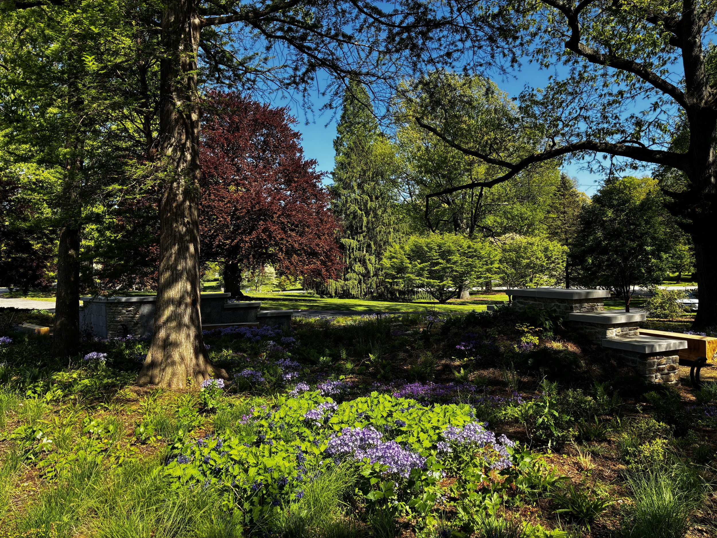 A park with lush green trees, colorful flowers, and benches under a bright blue sky.