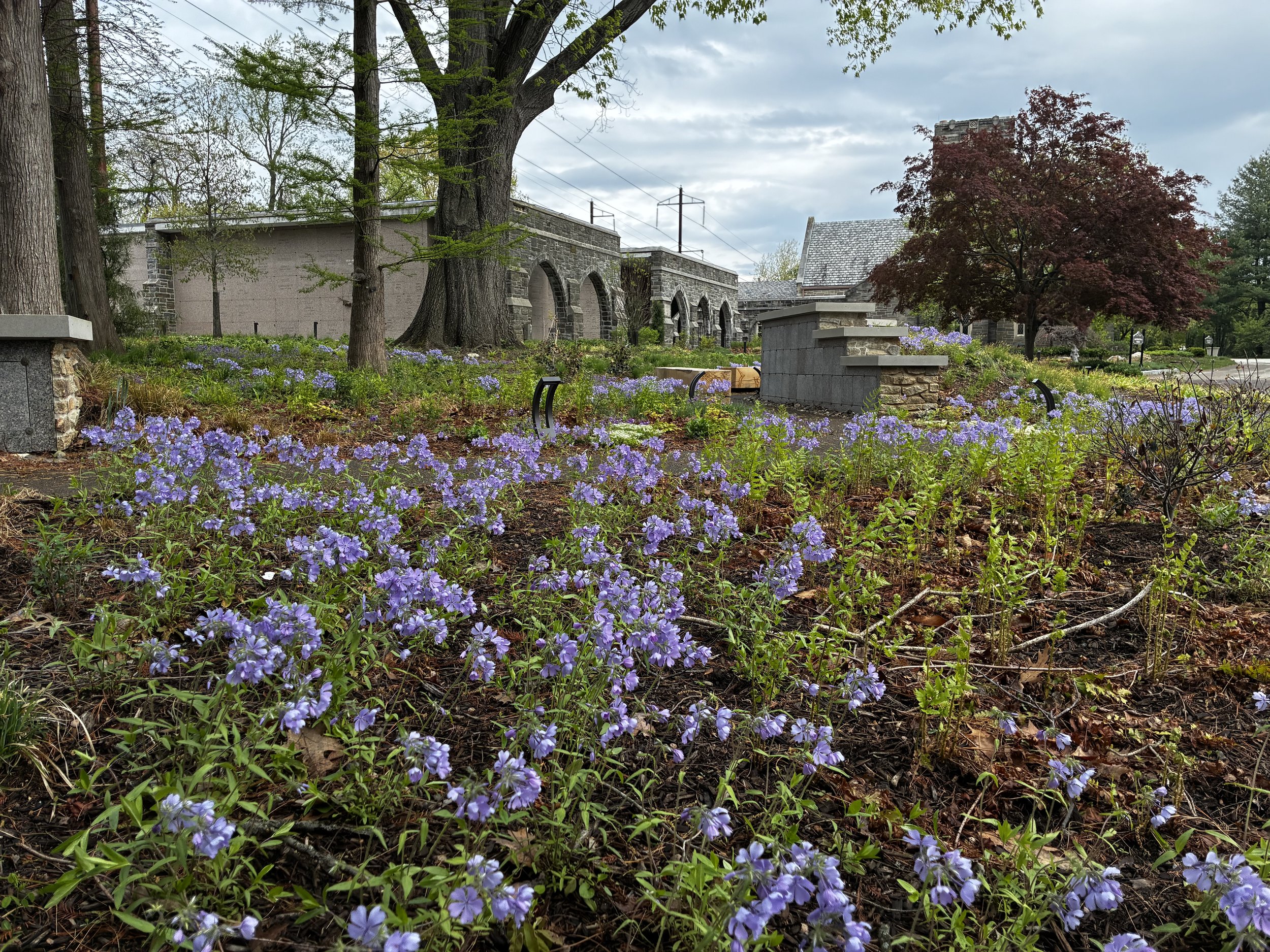 A landscape scene featuring purple wildflowers in the foreground, large trees, stone bridge with arches, an old building with a gabled roof, and a cloudy sky.