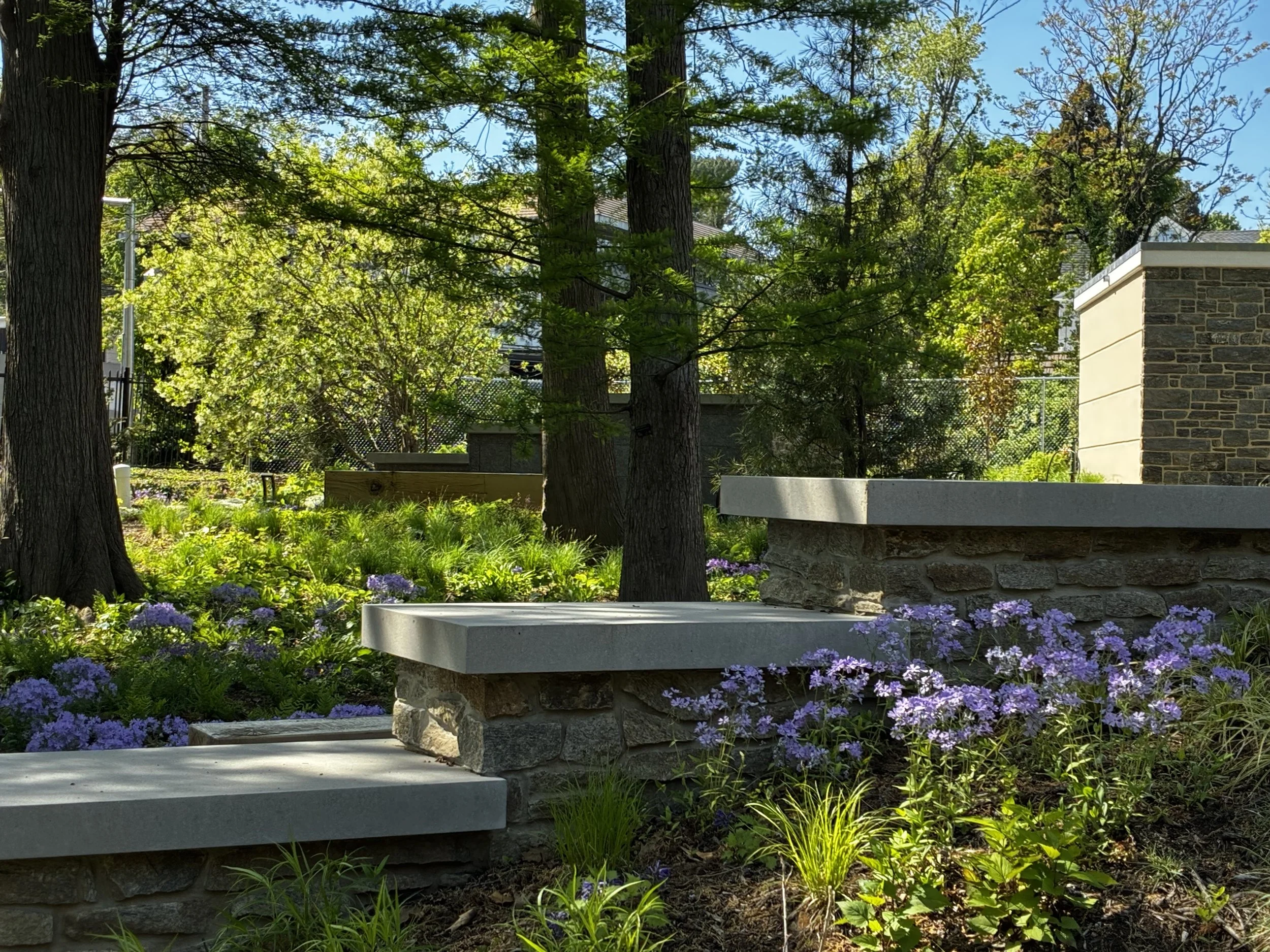 Woodland Sanctuary, Laurel Hill