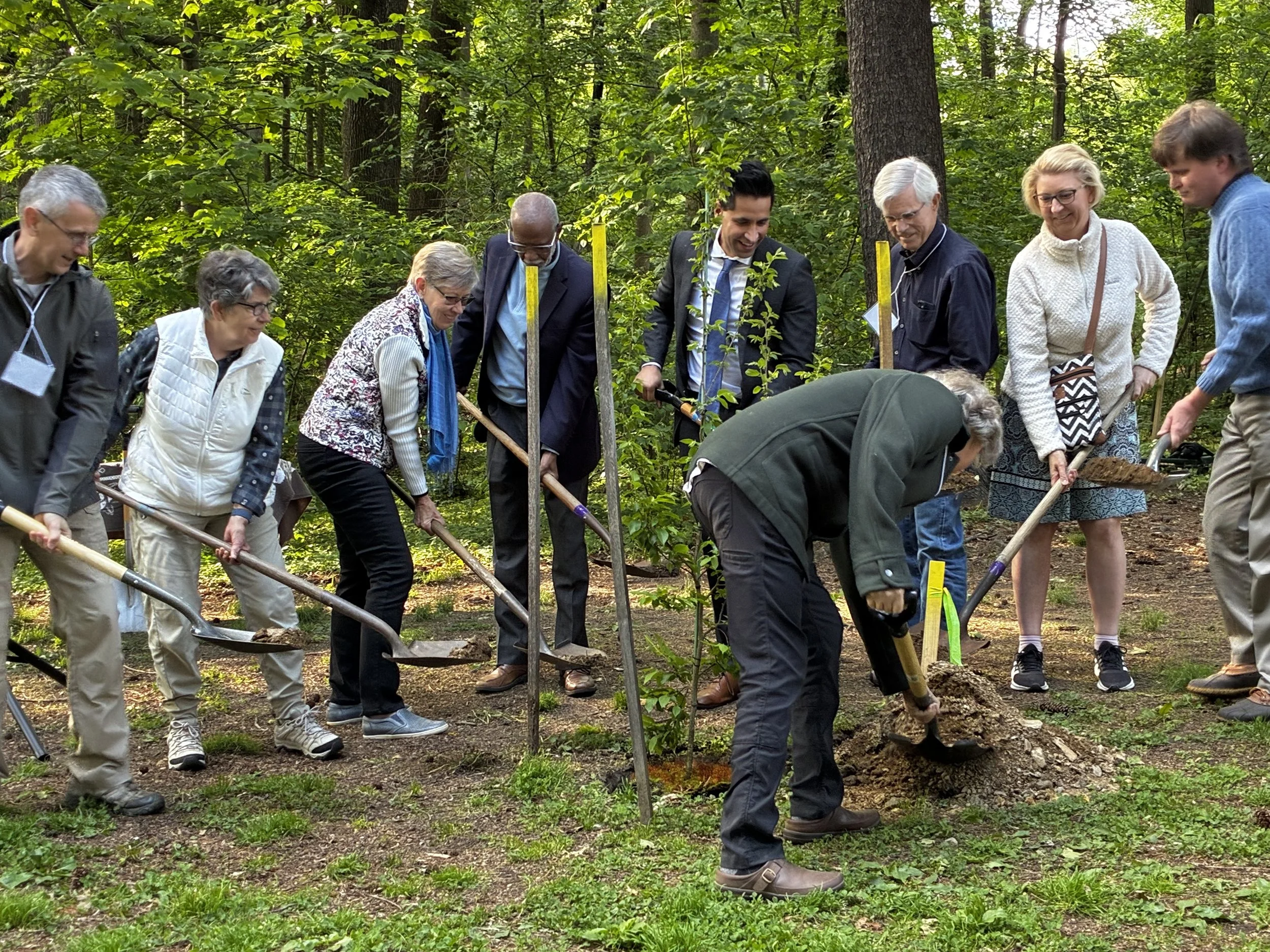 Tree planting to symbolize the launch of the North East Woods restoration project at Pastorius Park
