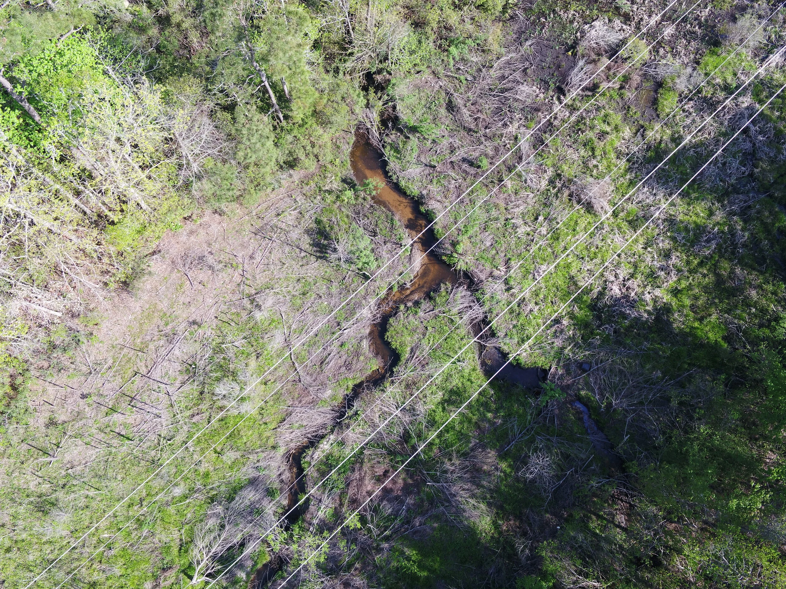 NRCS-DAMAGE SURVEY REPORT 