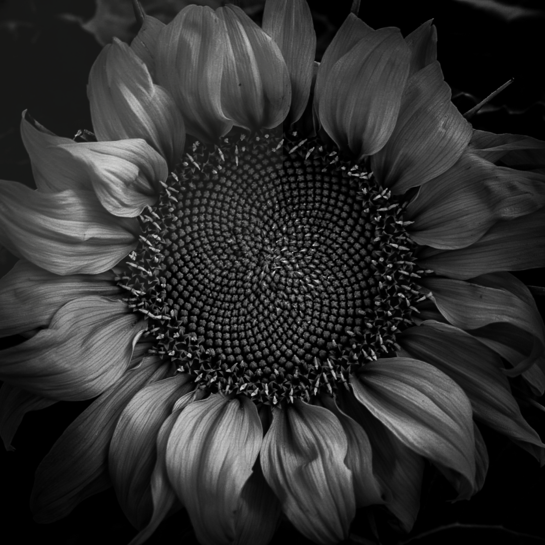 Trauma Informed Self Defense Classes for Women