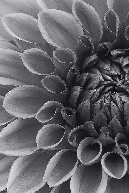 Trauma Informed Self Defense Classes for Women in Florida