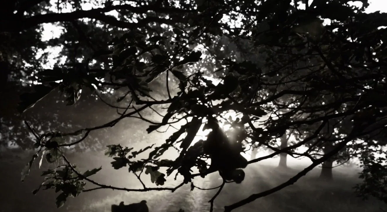 Trauma Informed Self Defense Classes for Women