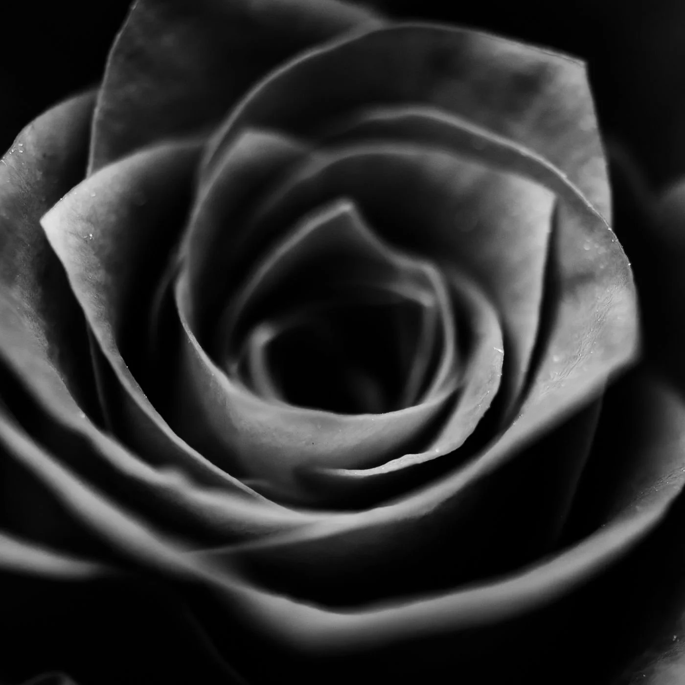 Womens online self defense classes