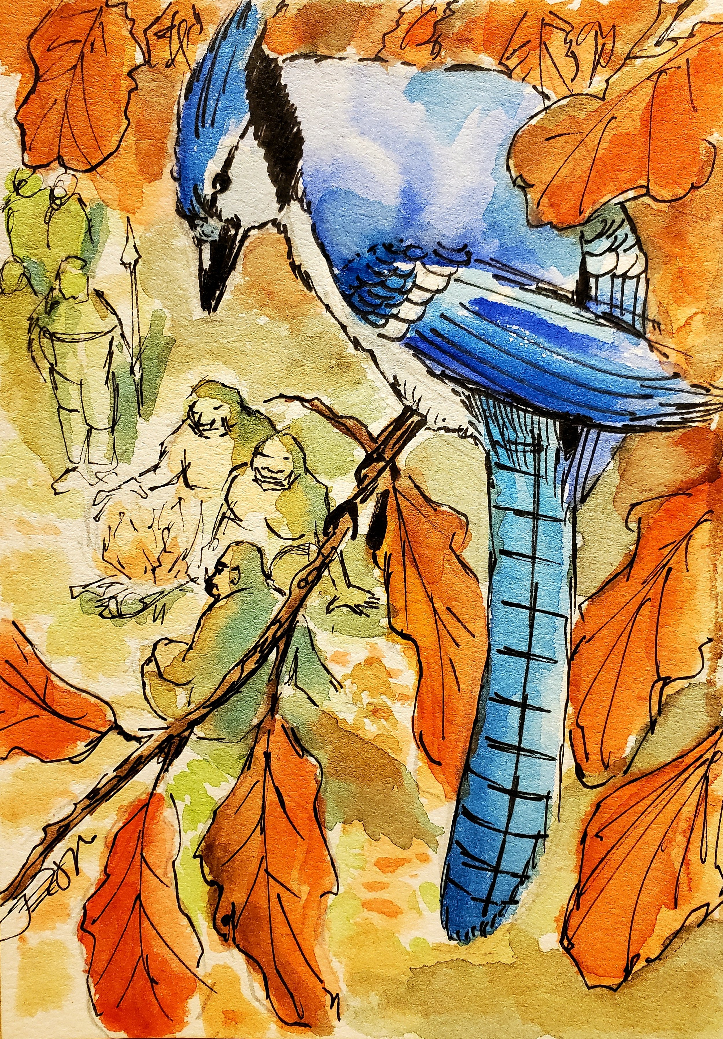 October 3: Blue Jay Spy, 5 x 7, watercolor, pen and ink on cold press paper. $!50