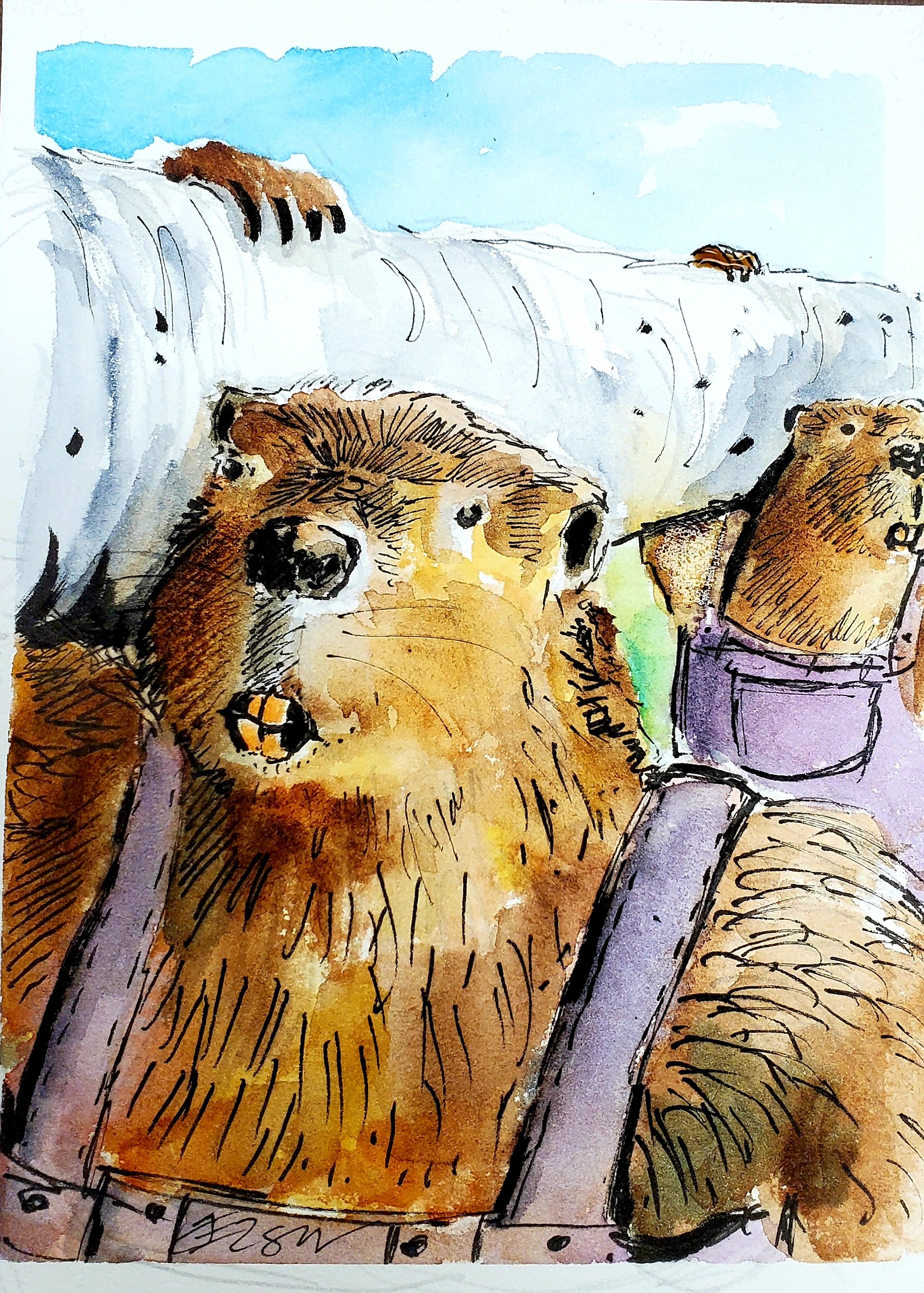 October 4: Beaver Crafters, 5 x 7, watercolor, pen and ink on cold press paper.