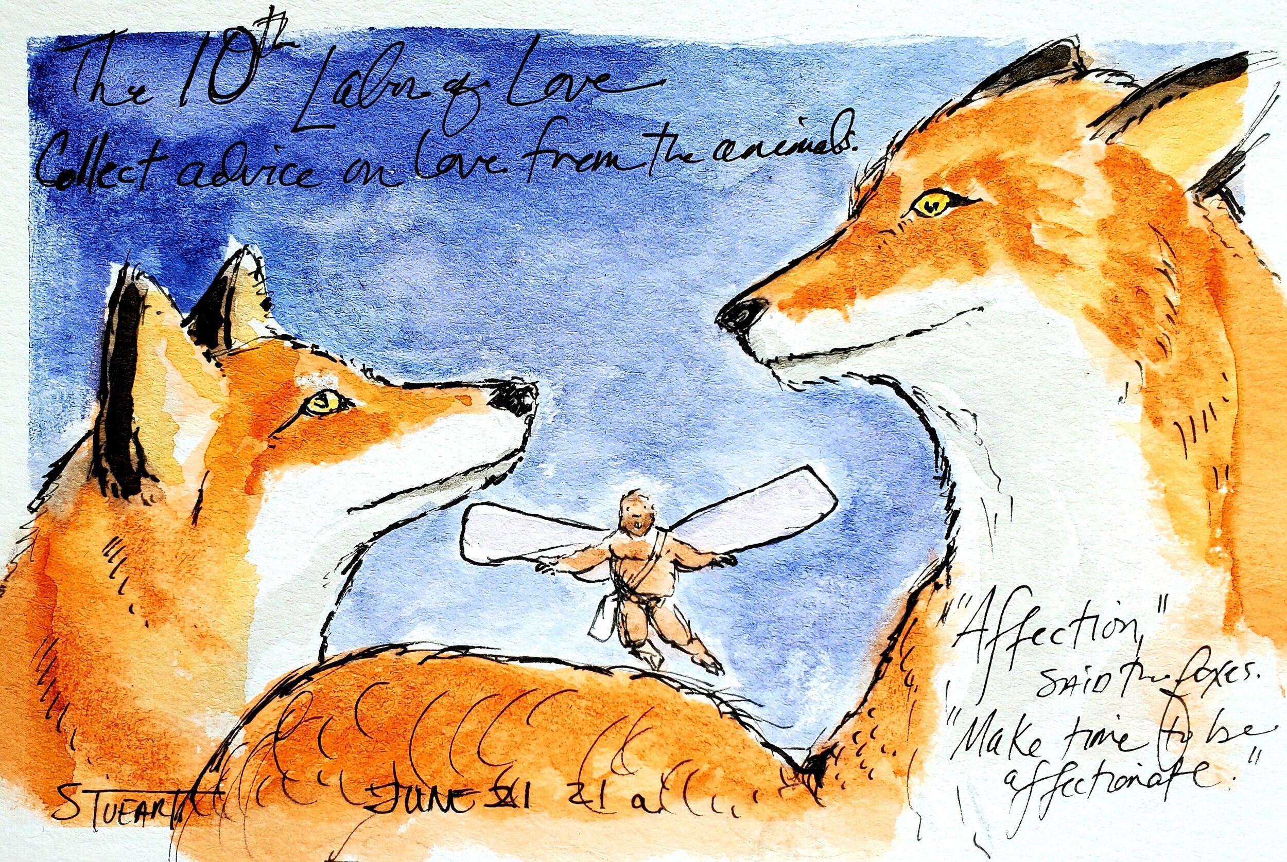 June 21a: Collect Advice on Love--Affection, say Foxes, 4 x 6, watercolor, pen and ink on postcard. $70