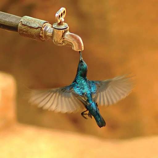 Where There is A Will There is A Way