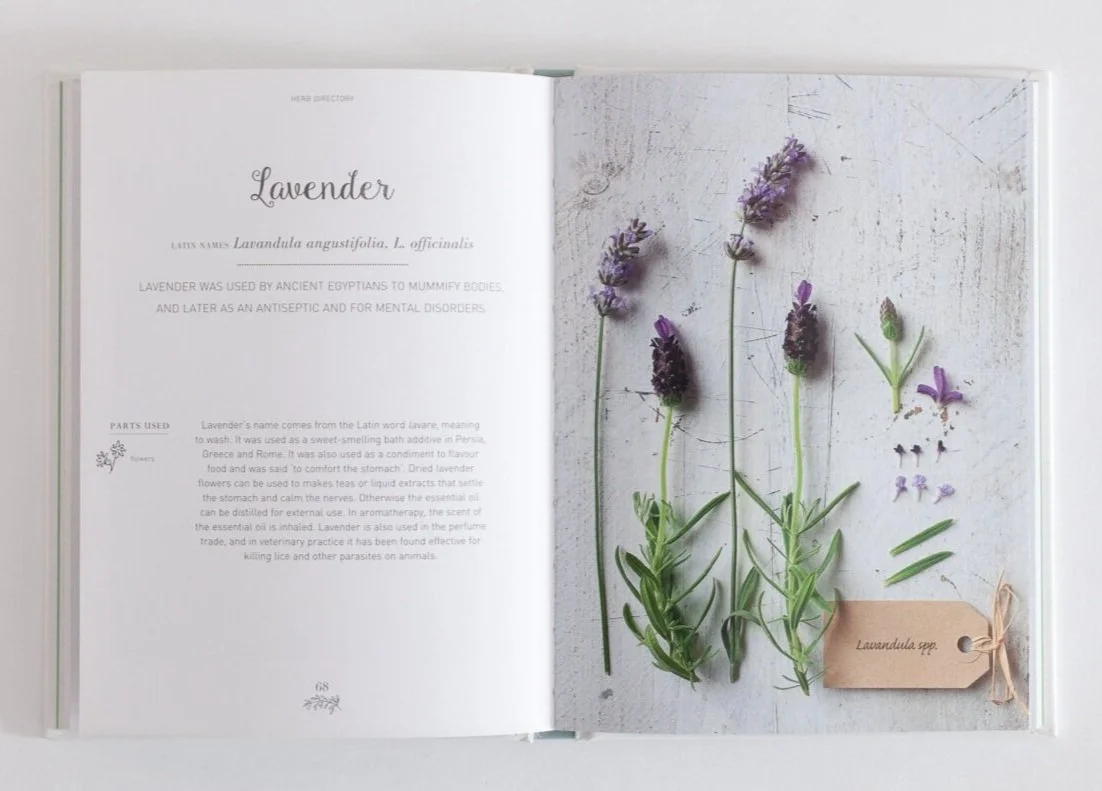 Open book showcasing lavender flowers and a paper tag labeled "Lavandula spp." on a light surface.