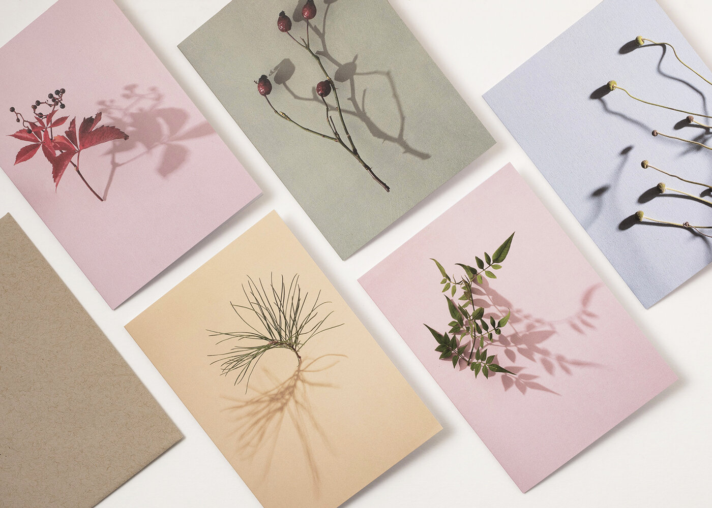 EmmaRobinson_GreetingsCards-LittleTrees-range.jpg