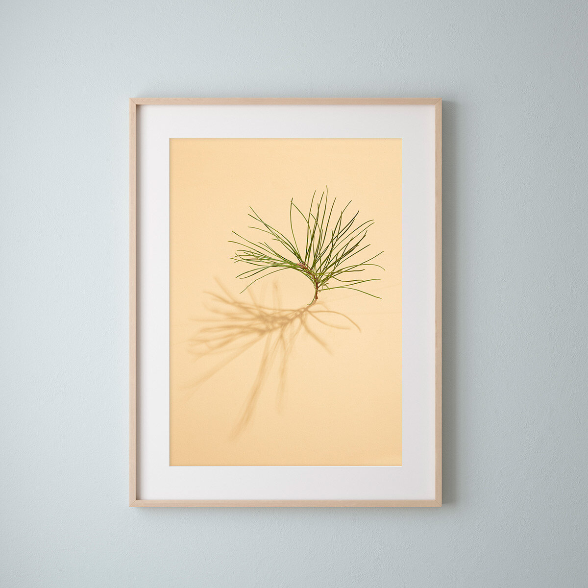 EmmaRobinson-LittleTrees-PineTree-picture-frame.jpg