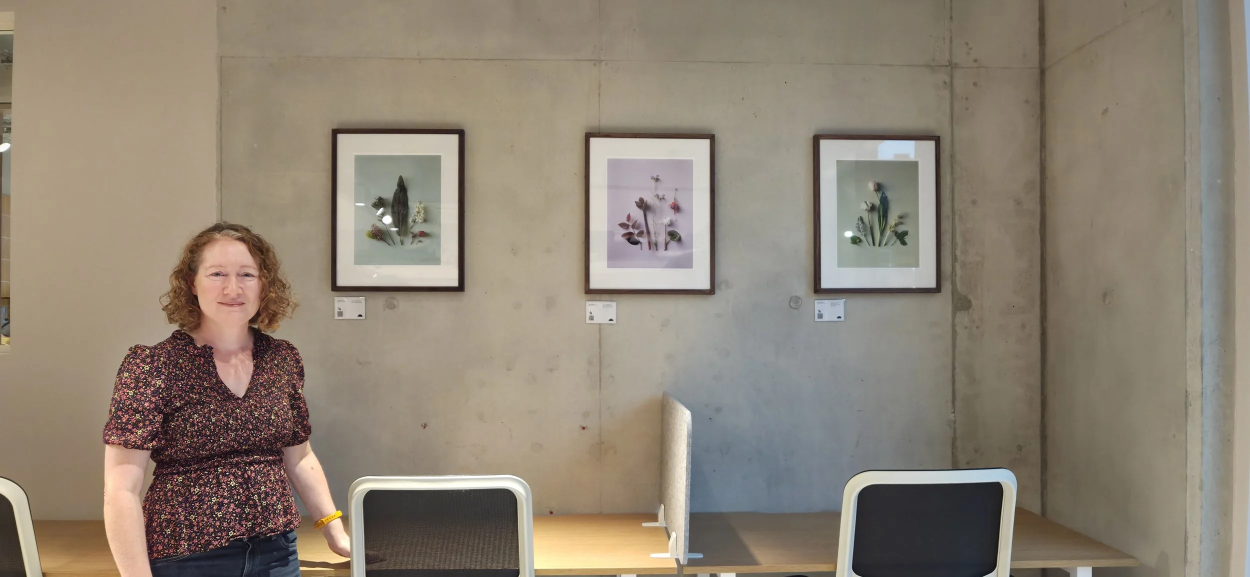 Arrangement of various flower and leaf specimens on a light green background.