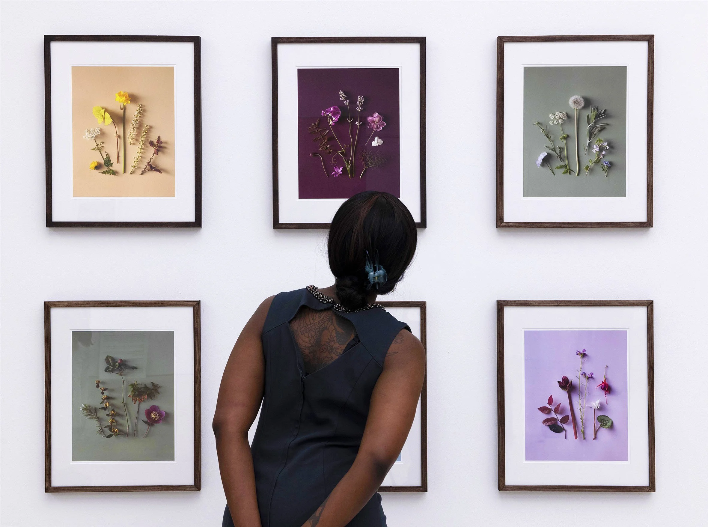 People viewing framed artwork of botanical photographs on a white gallery wall