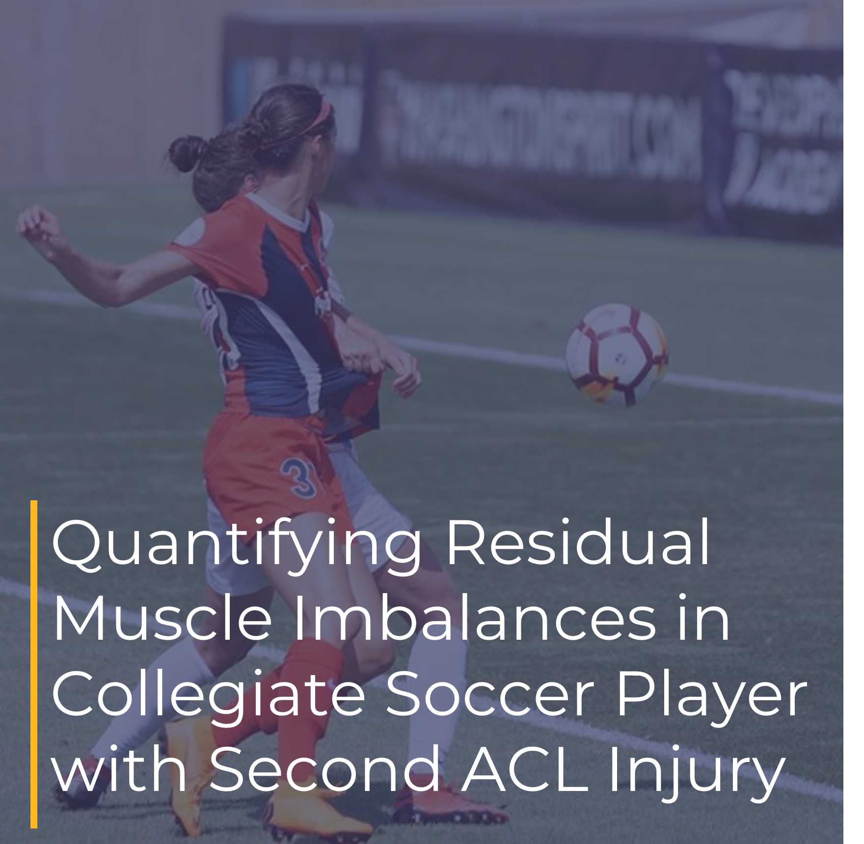 Case Studies — Springbok Analytics