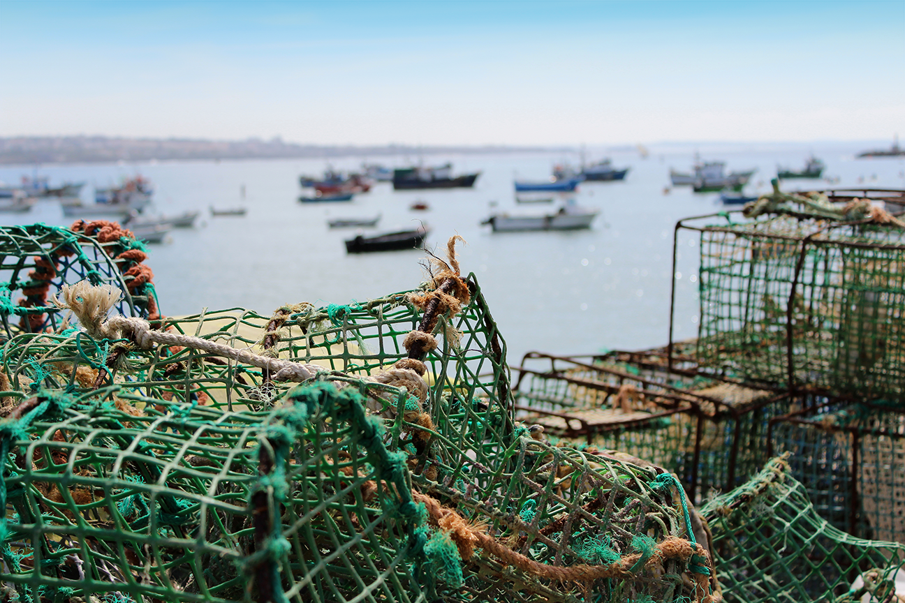 Fishing-traps-363250.png