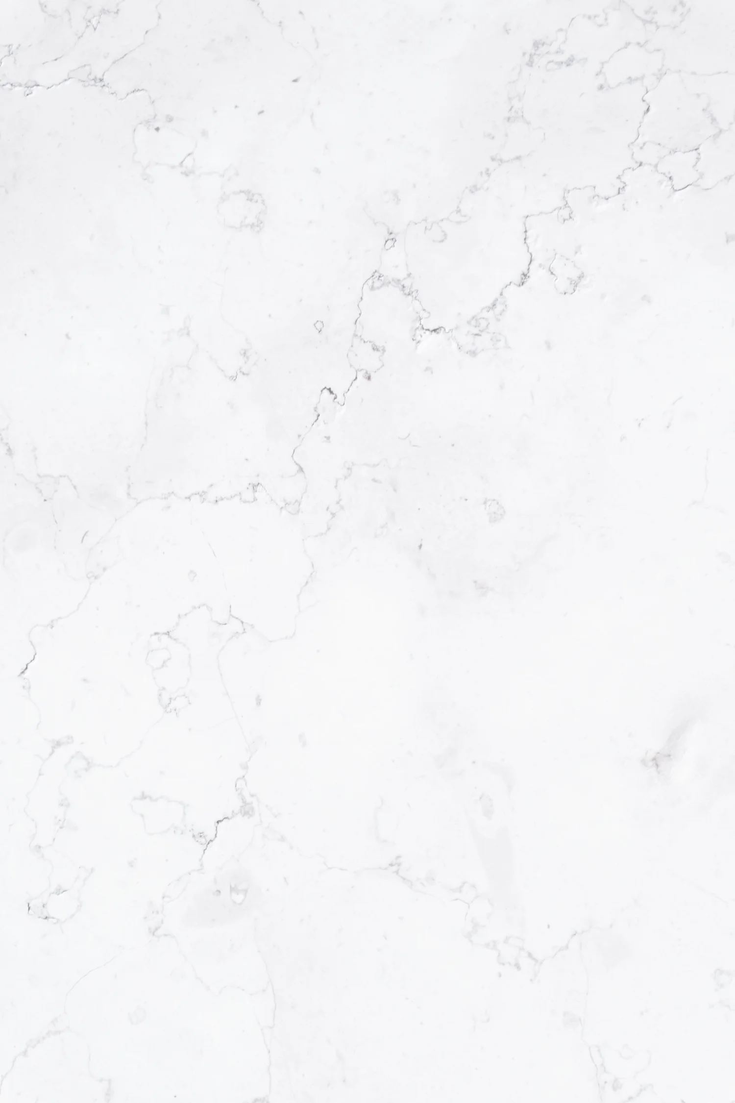 Hair — Top Knotch Salon