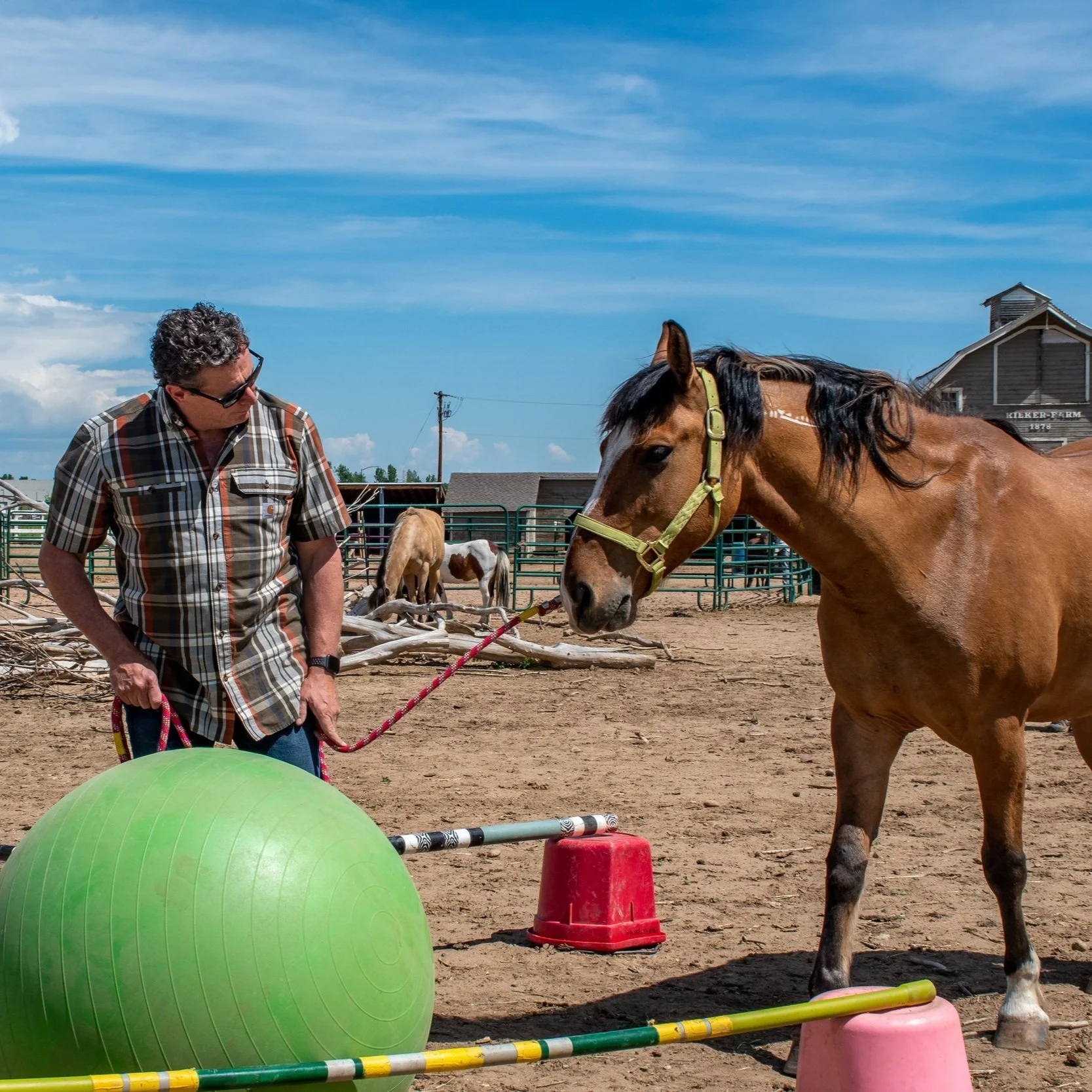 Obstacle Course Ideas For Horses — free download