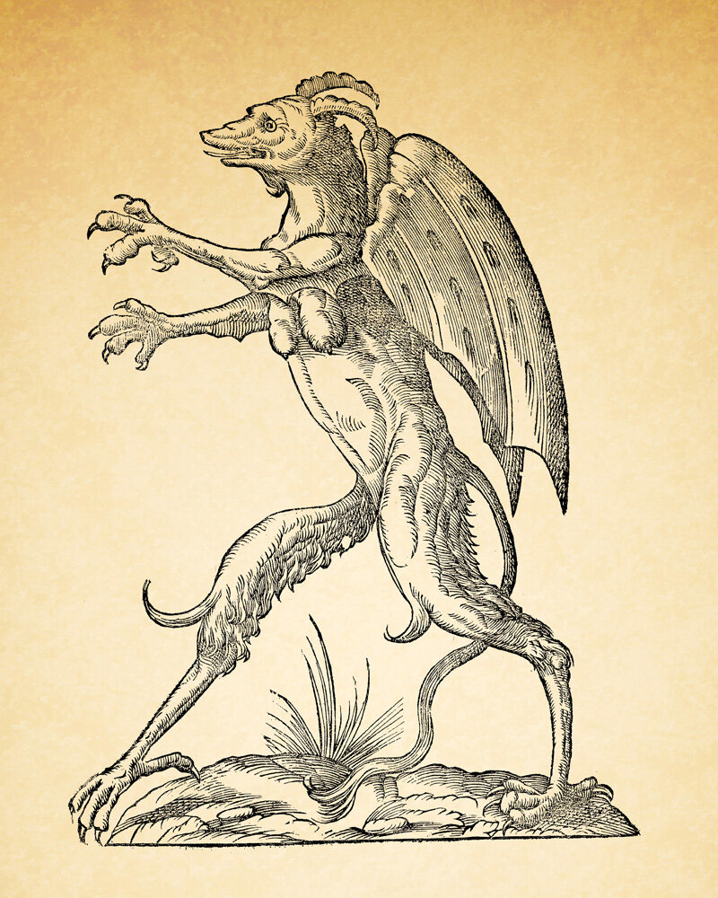 DRAGON CREATURE WITH TALONS.jpg