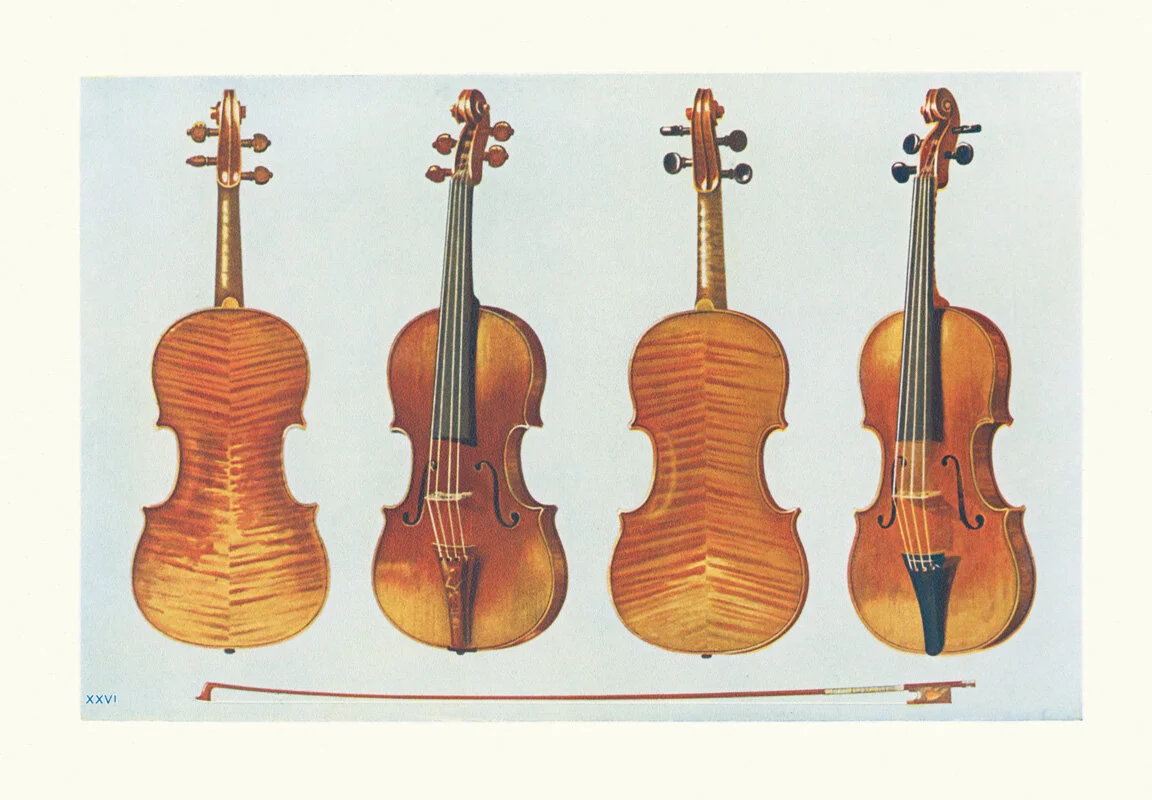 PLATE XXV1 VIOLINS THE ALARD STRADIVARIUS KING JOSEPH ETC.jpg