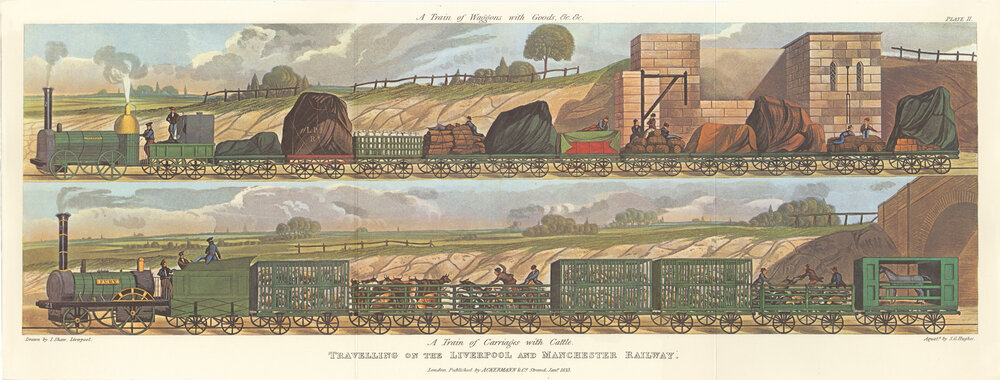 CATTLE TRAVELLING ON THE LIVERPOOL AND MANCHESTER RAILWAY Measure approx 25cm x 59cm Unmounted. Product laid down onto linen.jpg