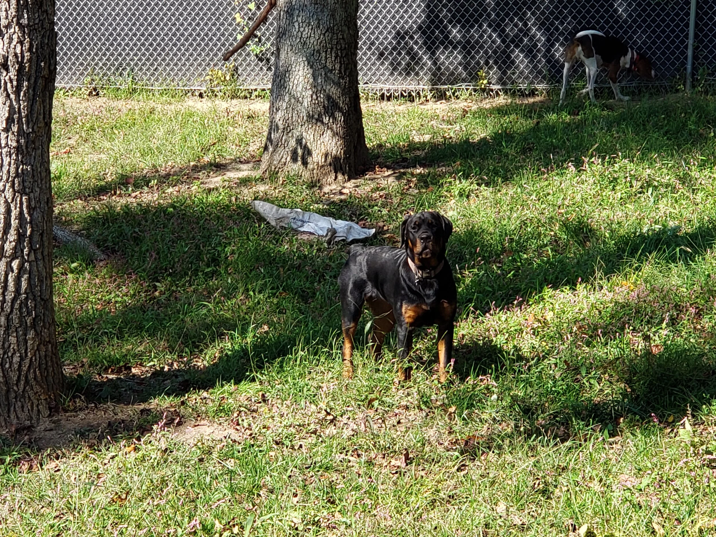 20201007_120652.jpg