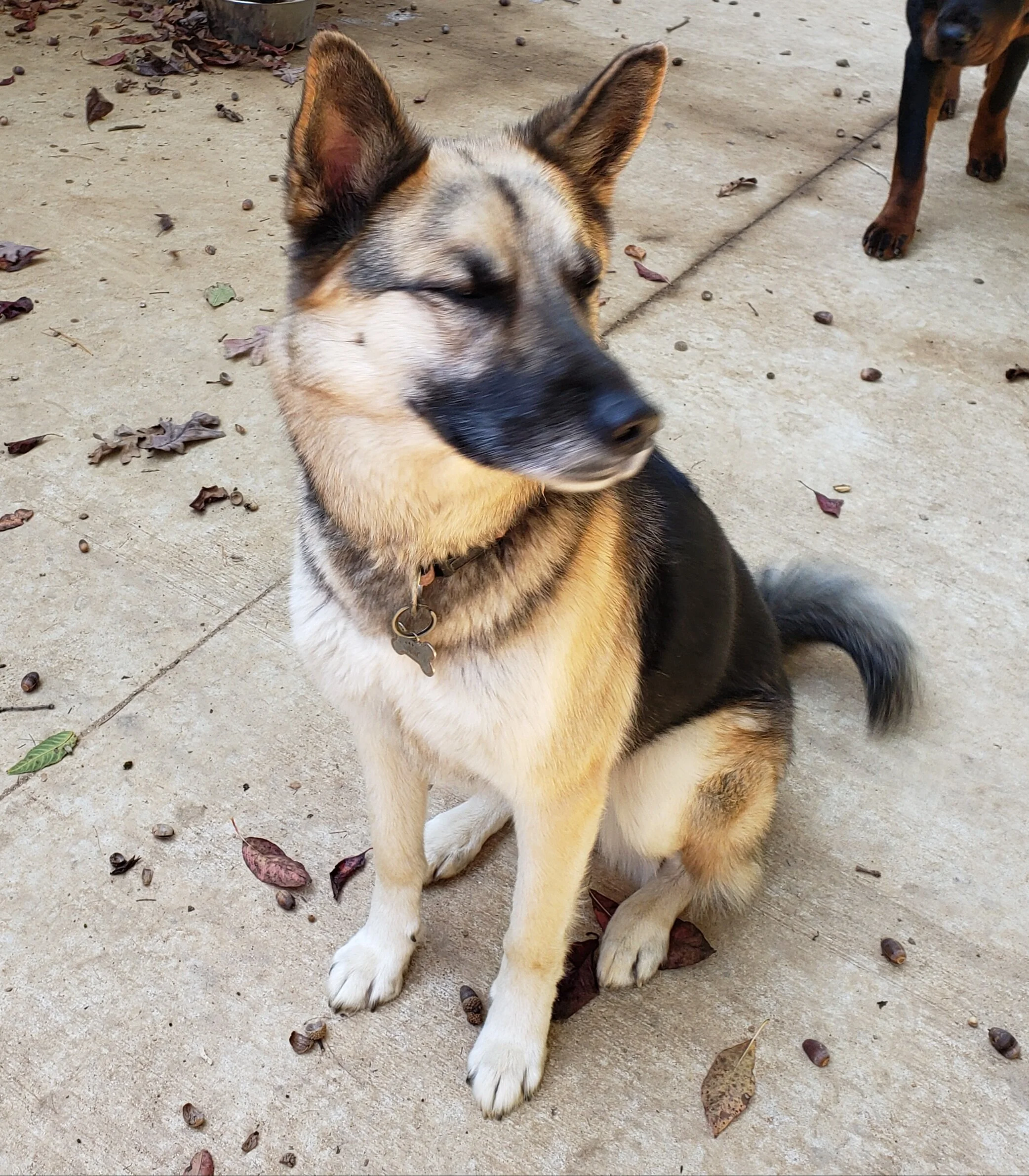 20201007_142546.jpg