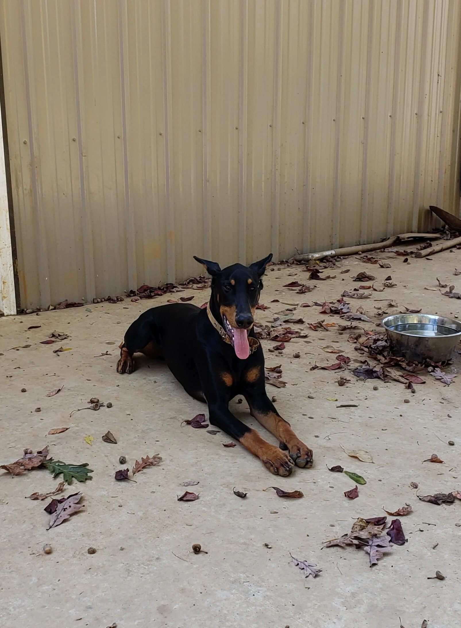 20201007_142522.jpg