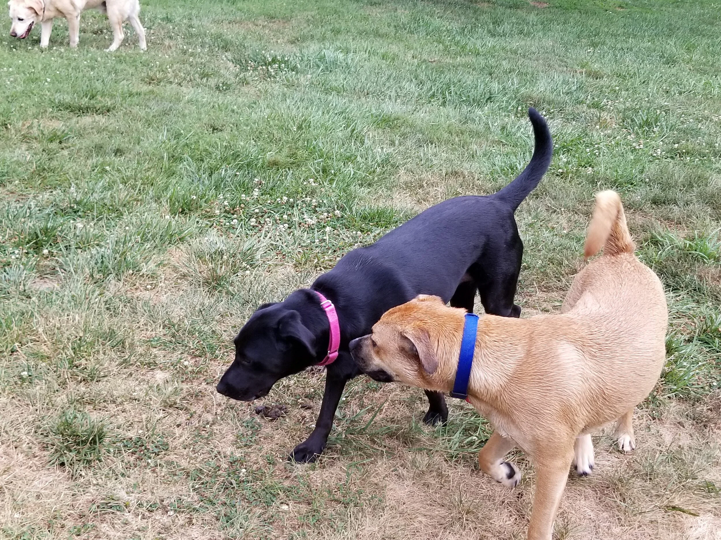 20170722_144336.jpg