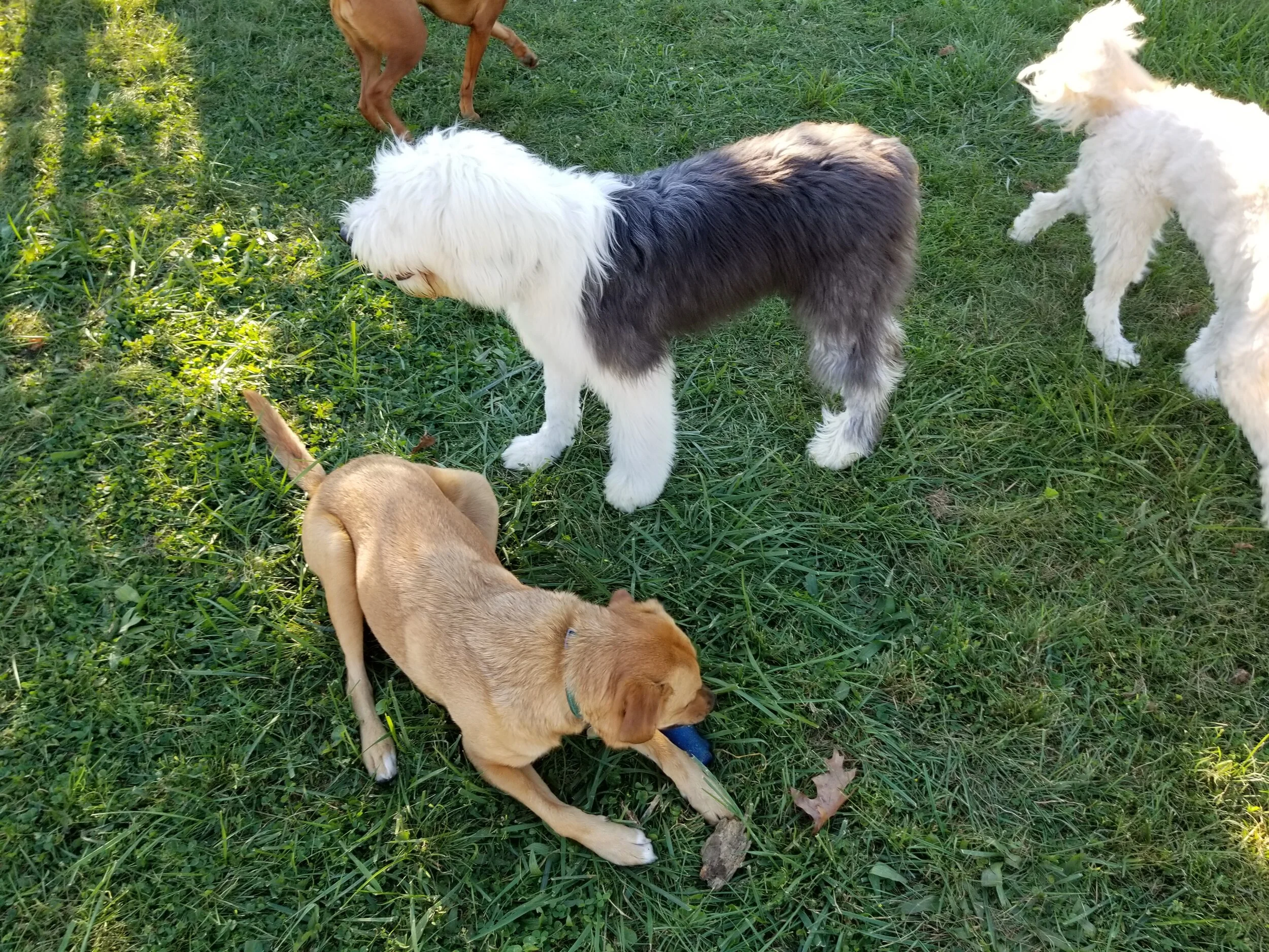 20171003_165149.jpg