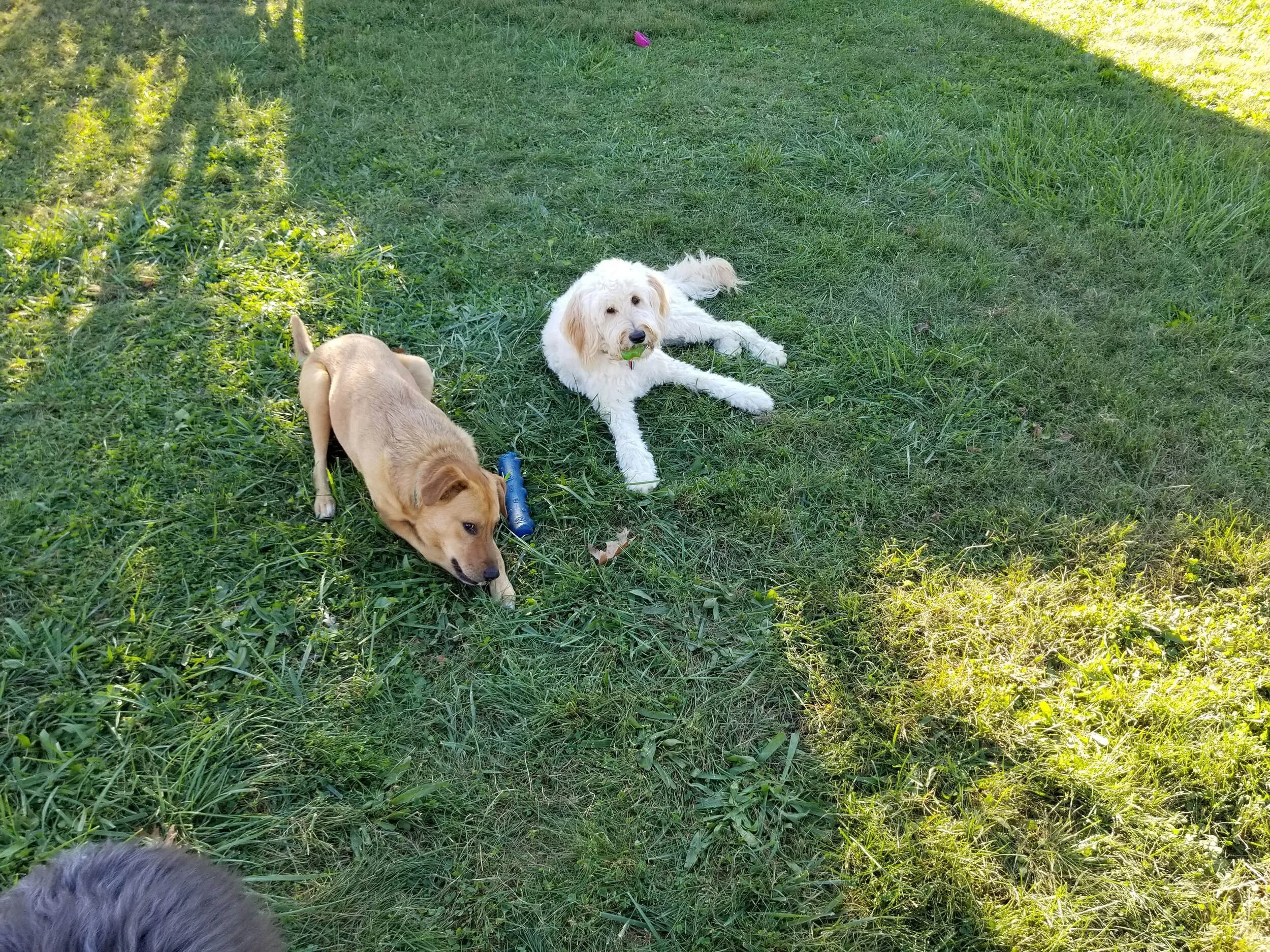 20171003_165127.jpg