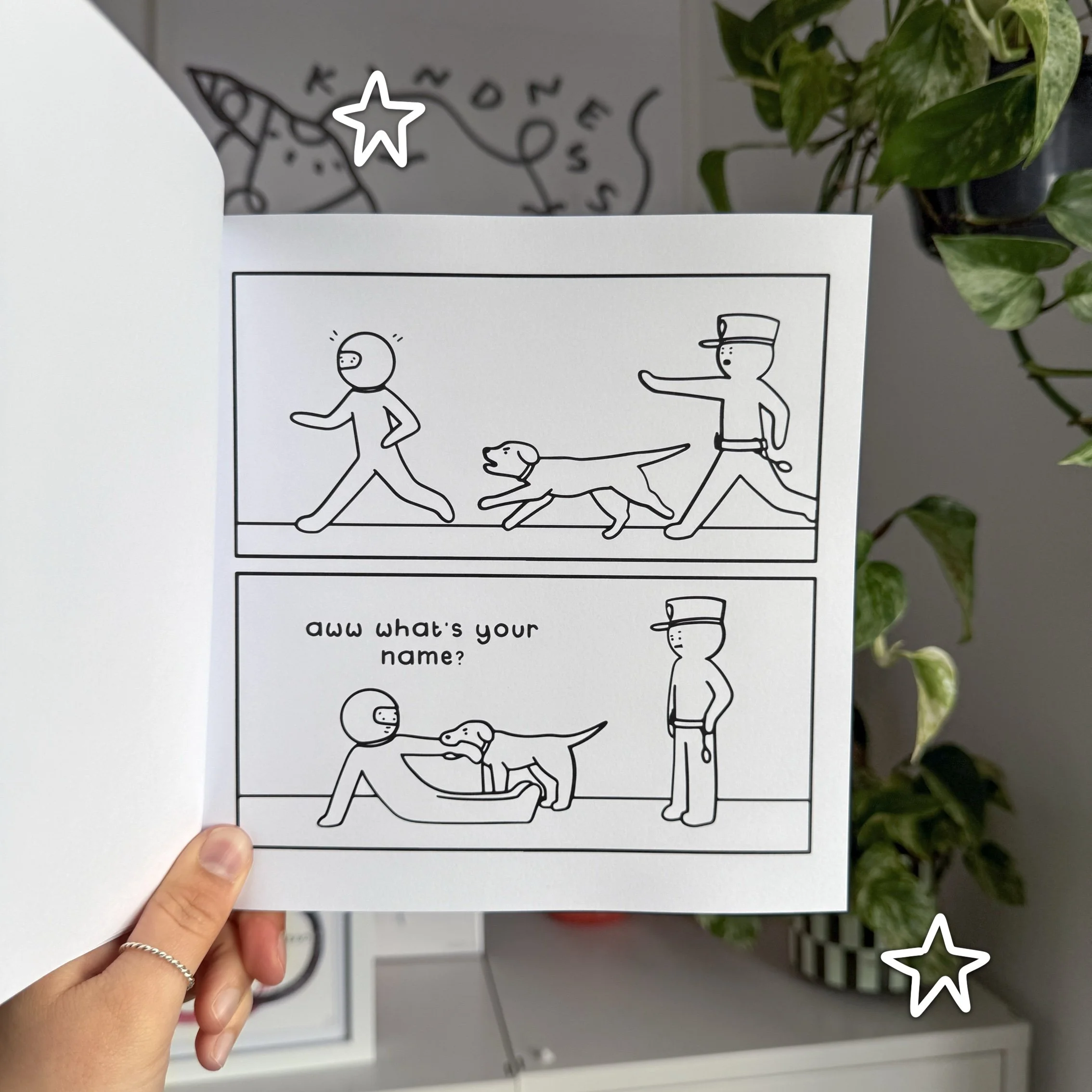 Funny Adult Colouring Book for the Dry Humoured - Volume 1 - Amii ...