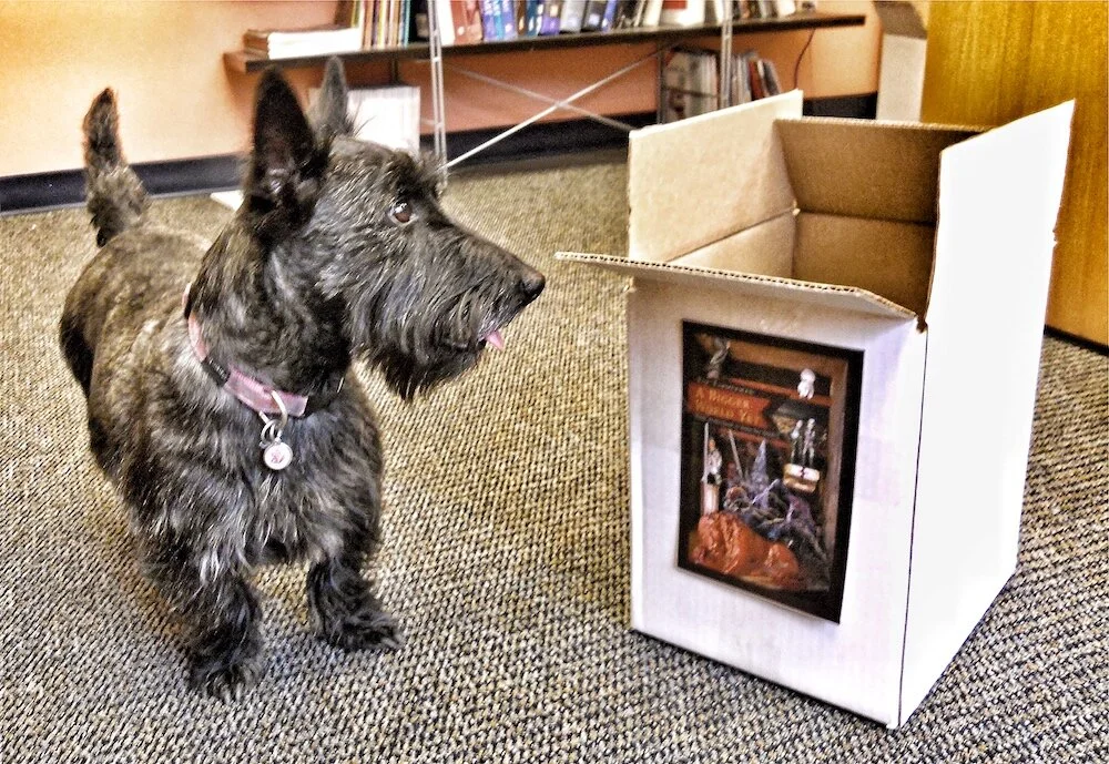 JPEG image-3B6842AE96A0-1.jpeg