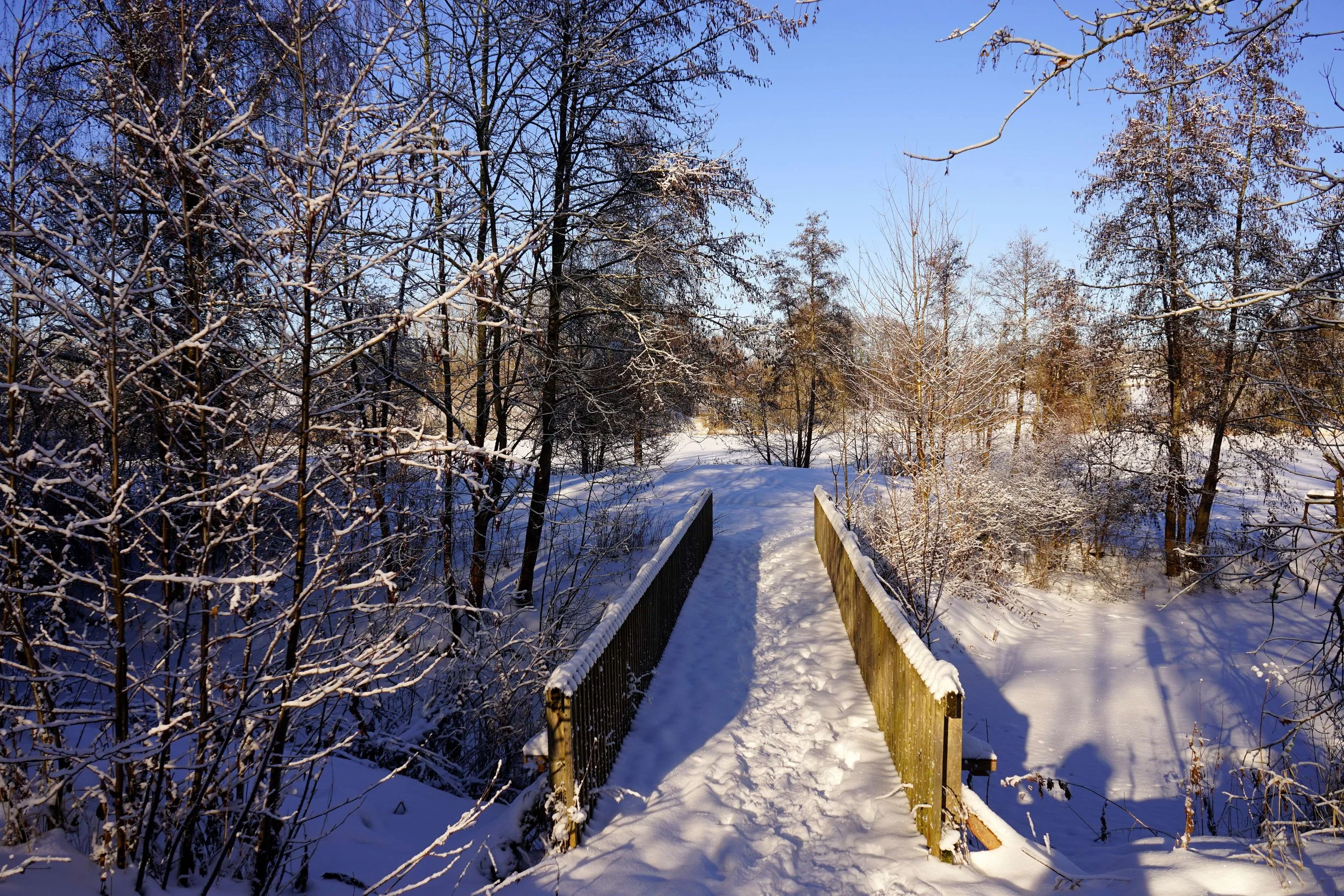 Foto: Helmut Welte; 11.01.2026