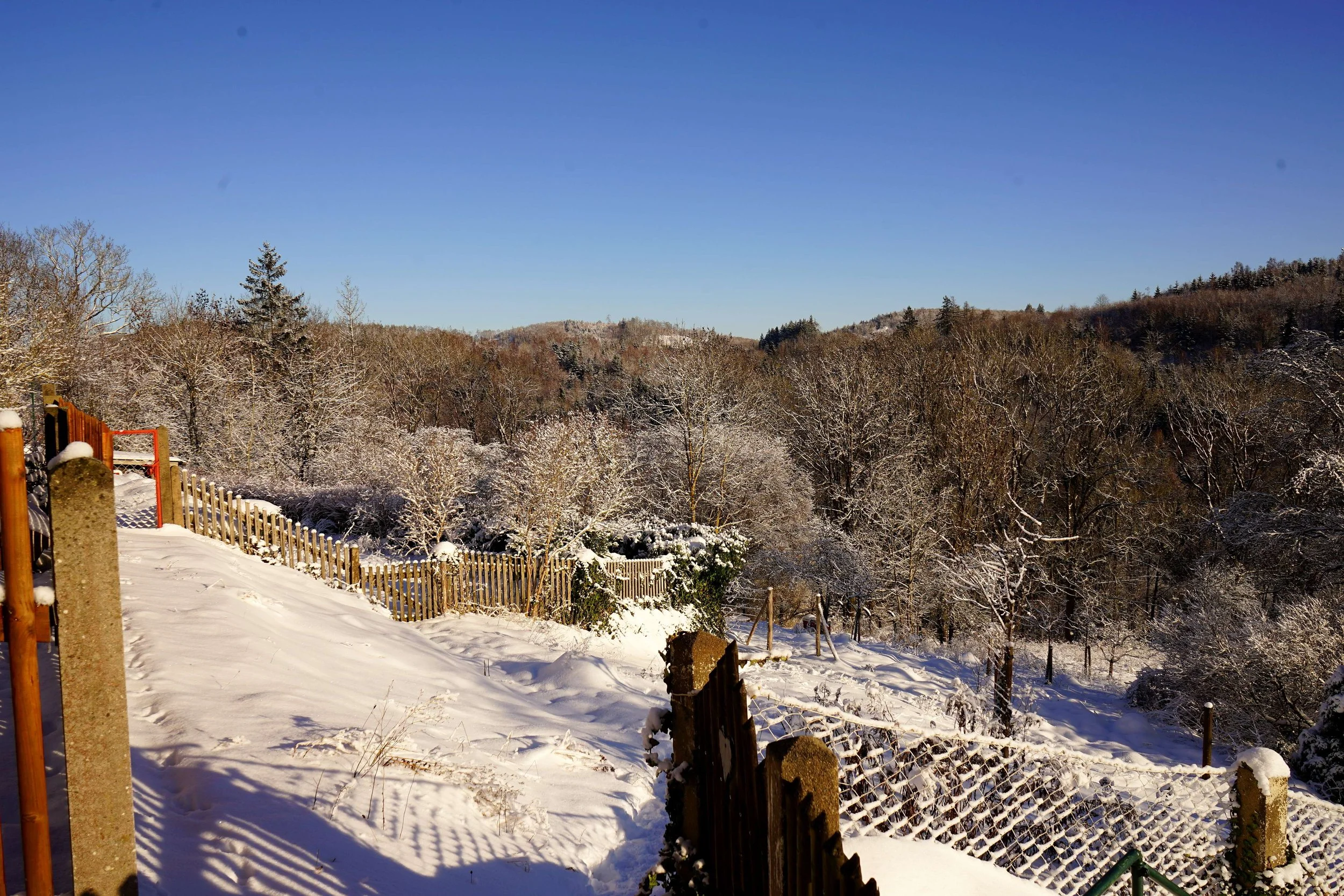 Foto: Helmut Welte; 11.01.2026