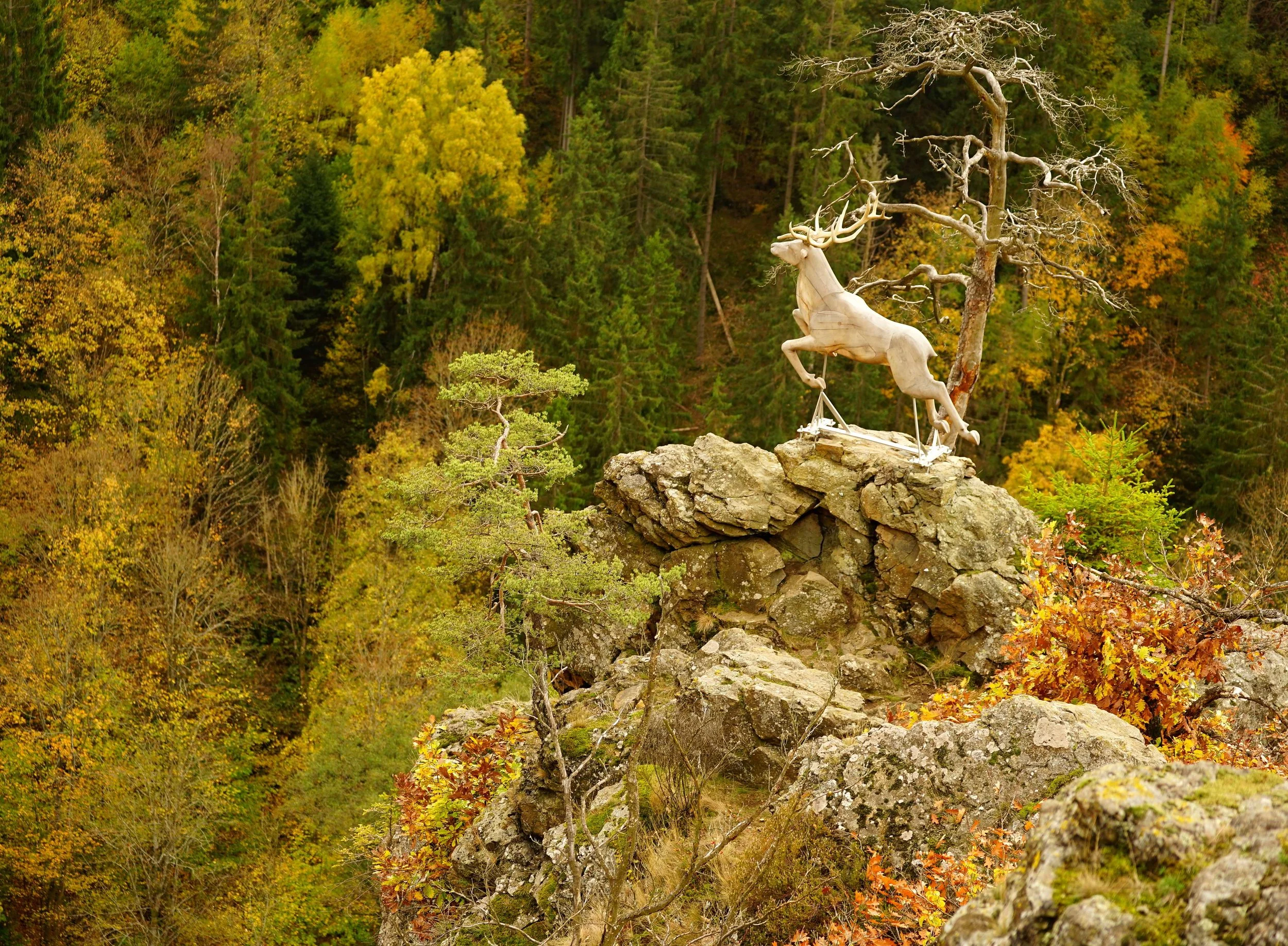 Foto :Helmut Welte: 20.10.2025, am Hirschsprung