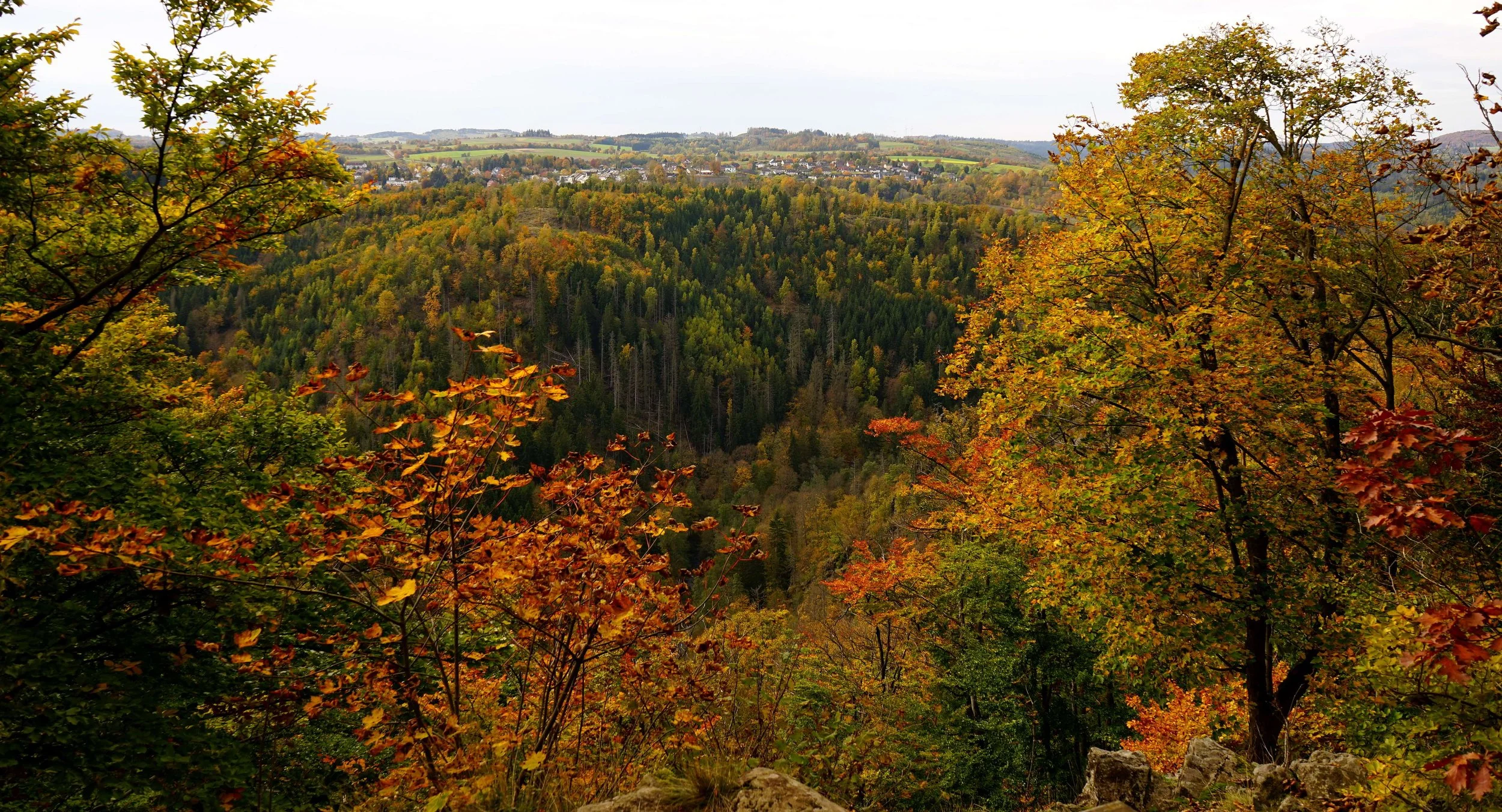 Foto: Helmut Welte; 20.10.2025
Lichtenberg 