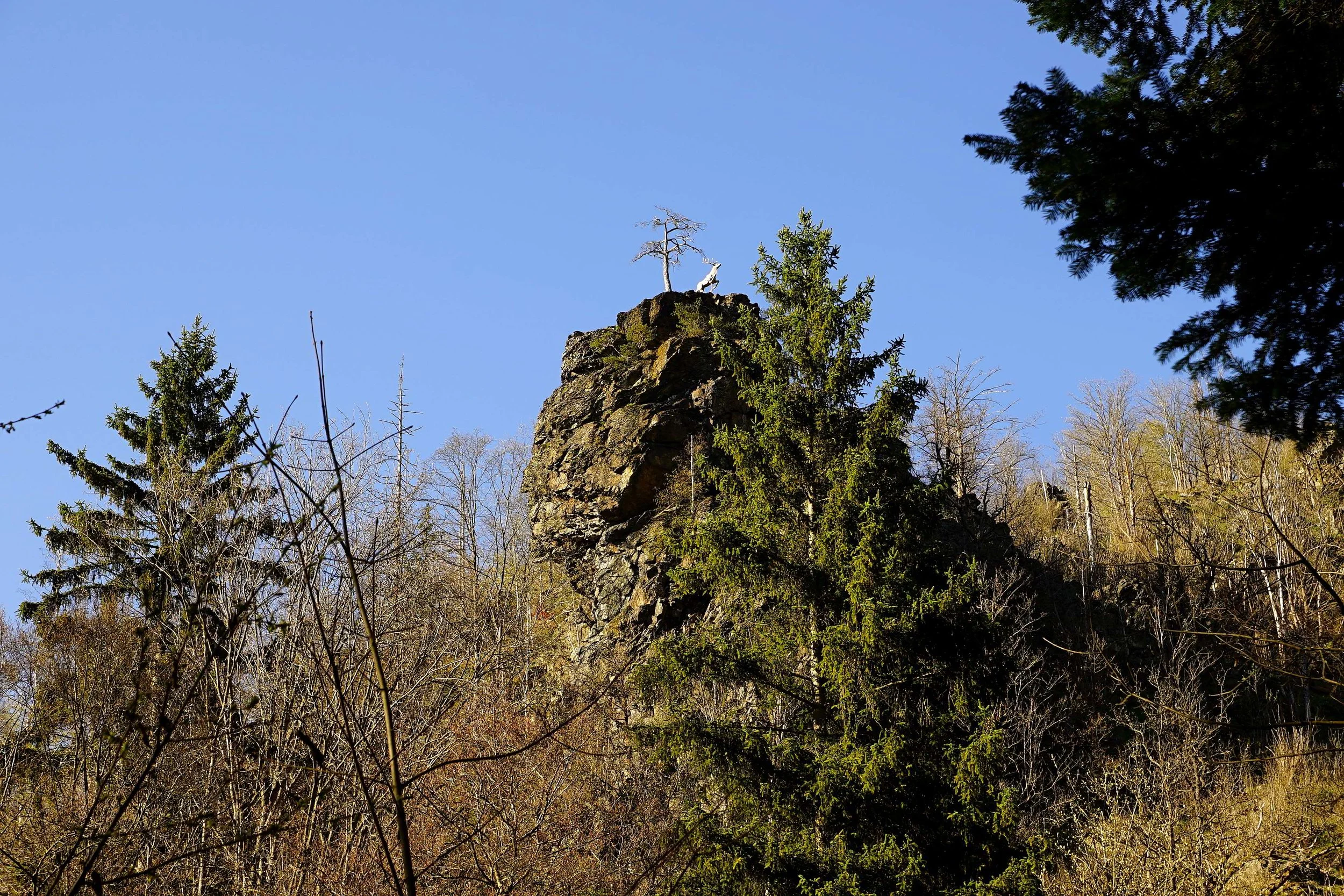 Foto: Helmut Welte; 23.04.2026